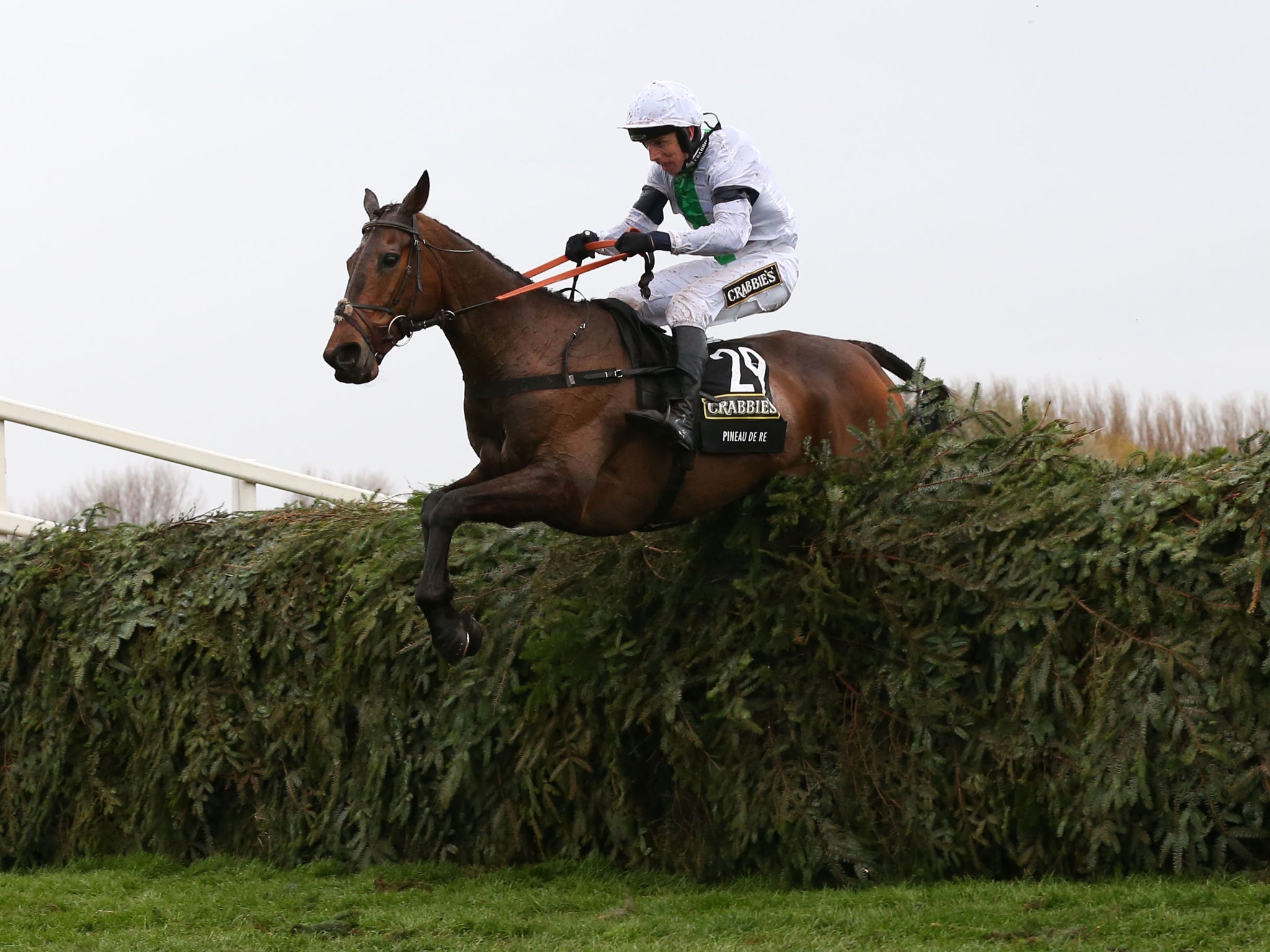 Pineau De Re wins the 2014 Grand National