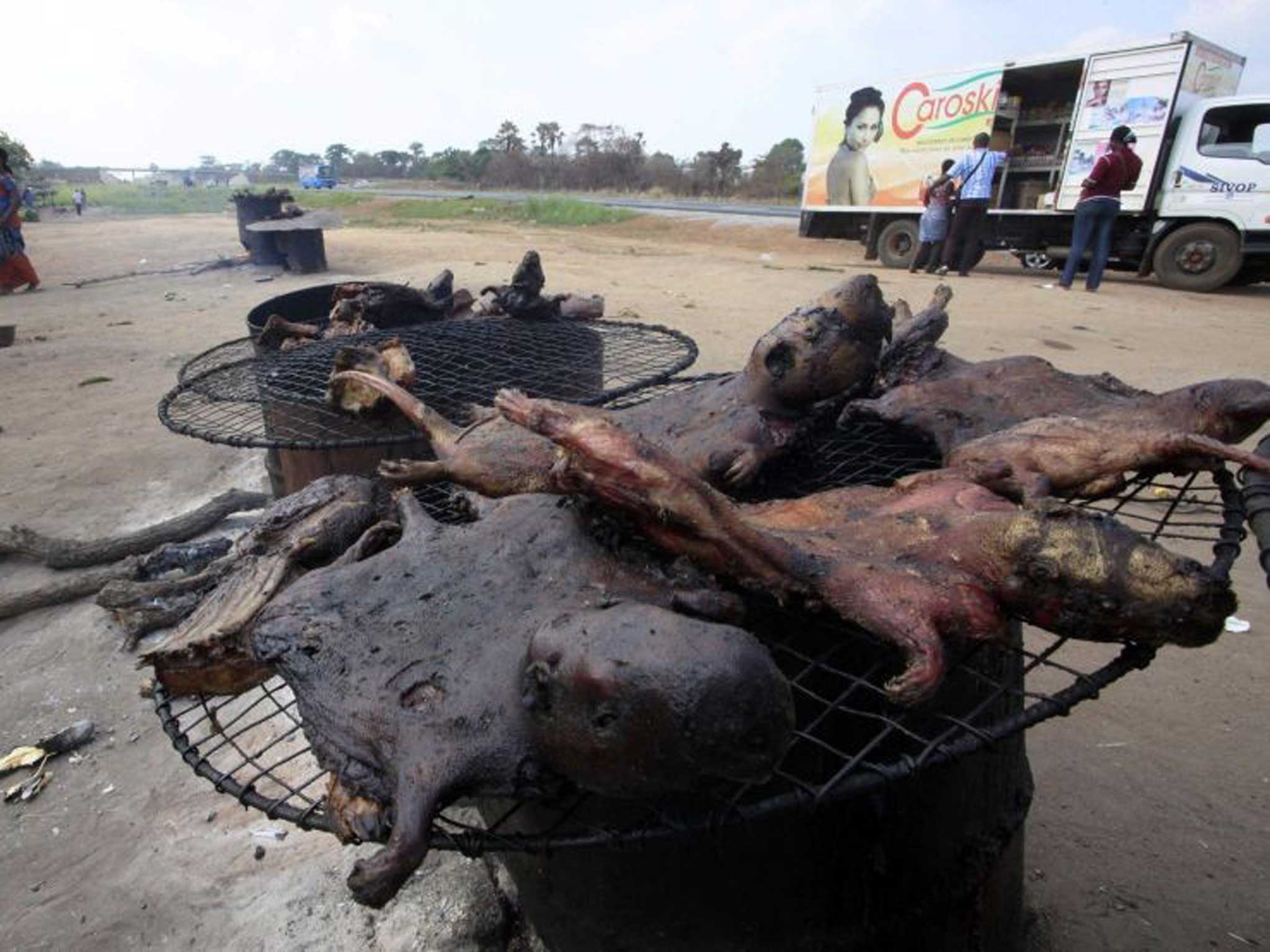 Bushmeat on sale