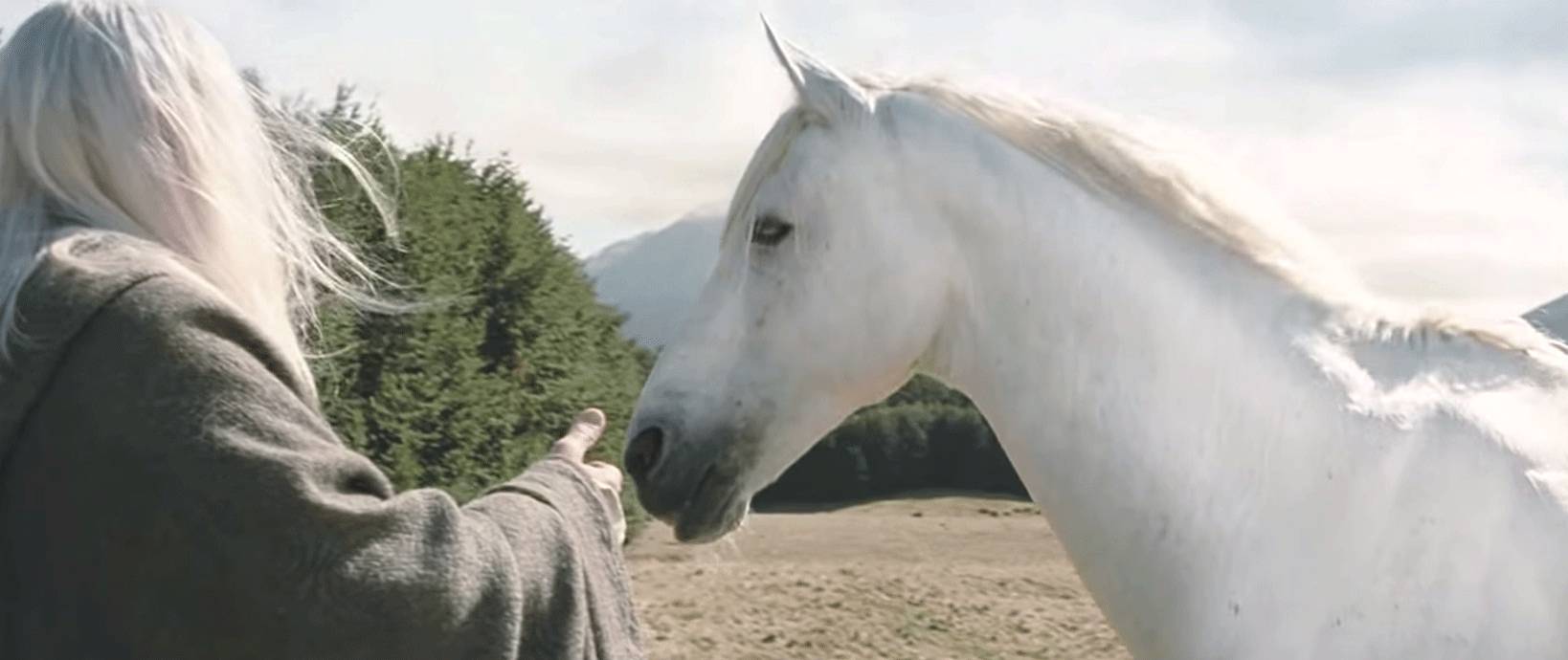 Shadowfax was Blanco's biggest Hollywood role