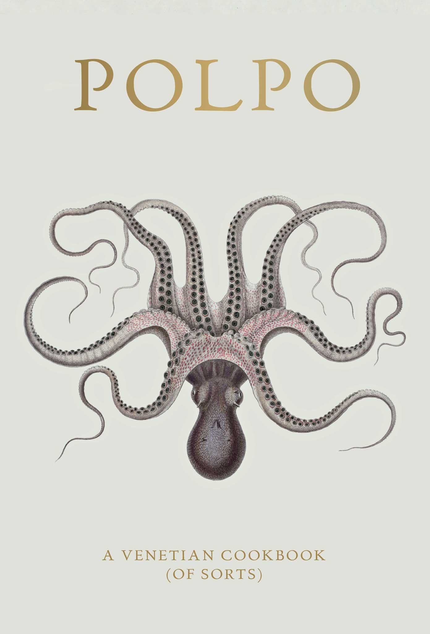 Polpo: Italian for octopus, as seen on its cookbook