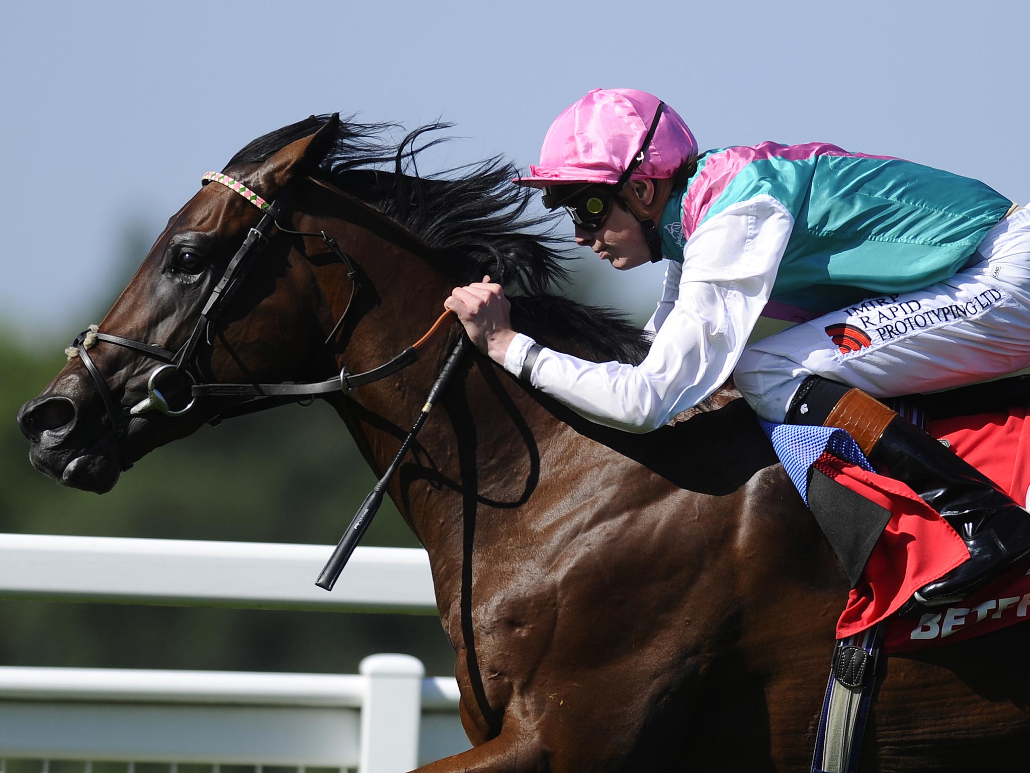 James Doyle riding Kingman last year