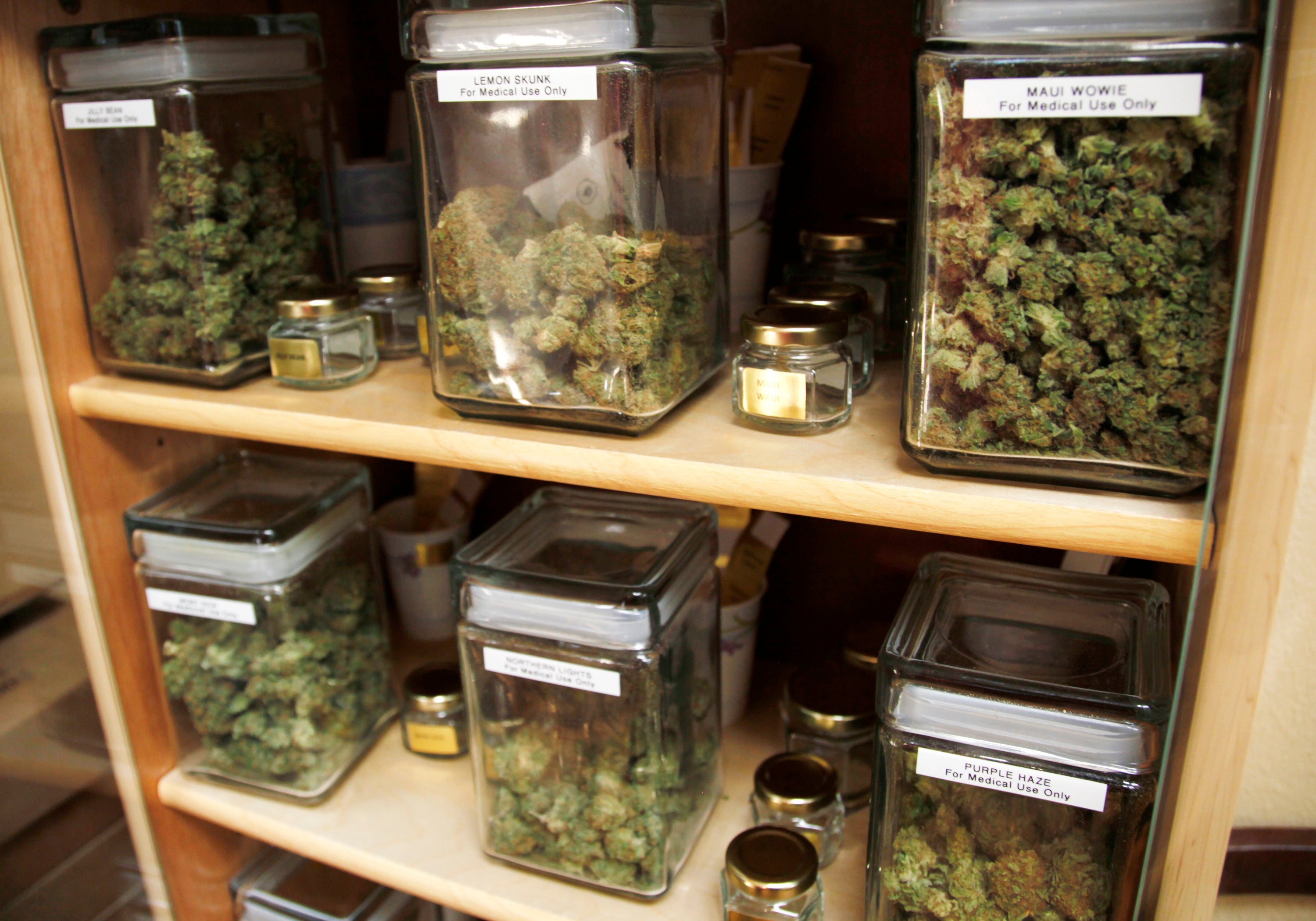 A variety of medical marijuana strains in a dispensary in Denver, Colorado