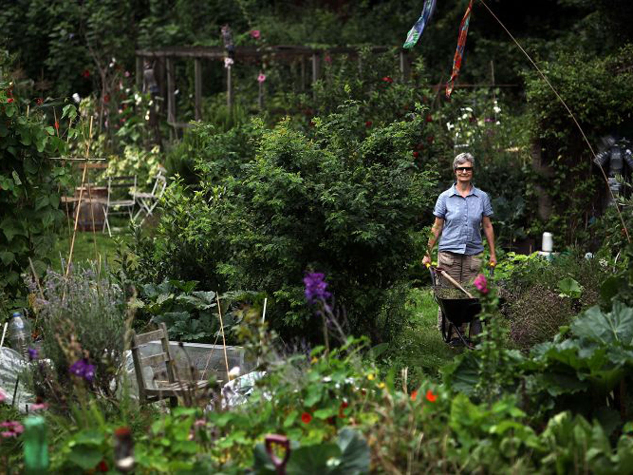 Green fingers: a plot in East London