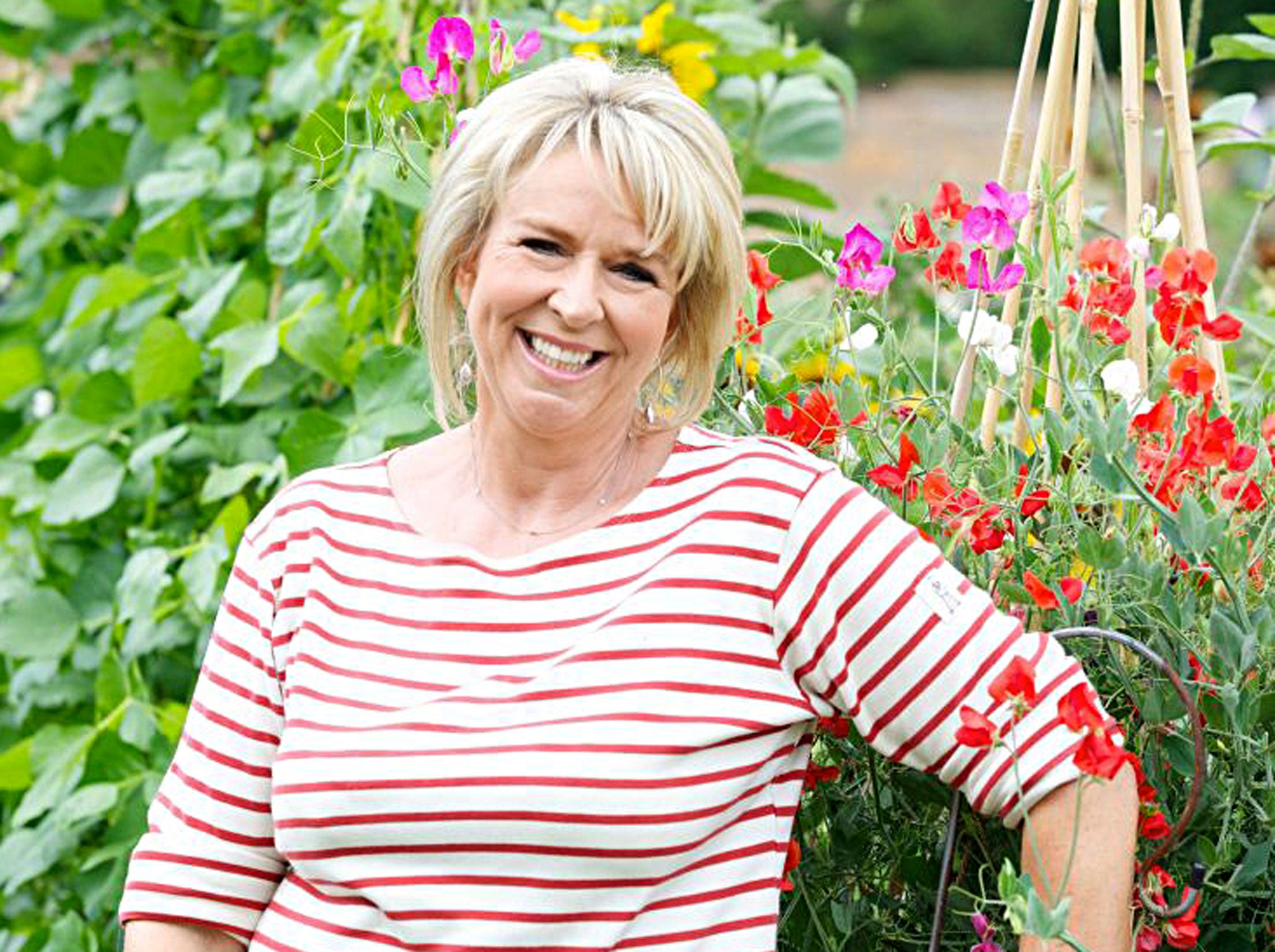 Down to earth: Fern Britton presents 'The Big Allotment Challenge'