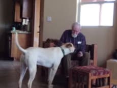 Alzheimer sufferer regains speech with dog’s help