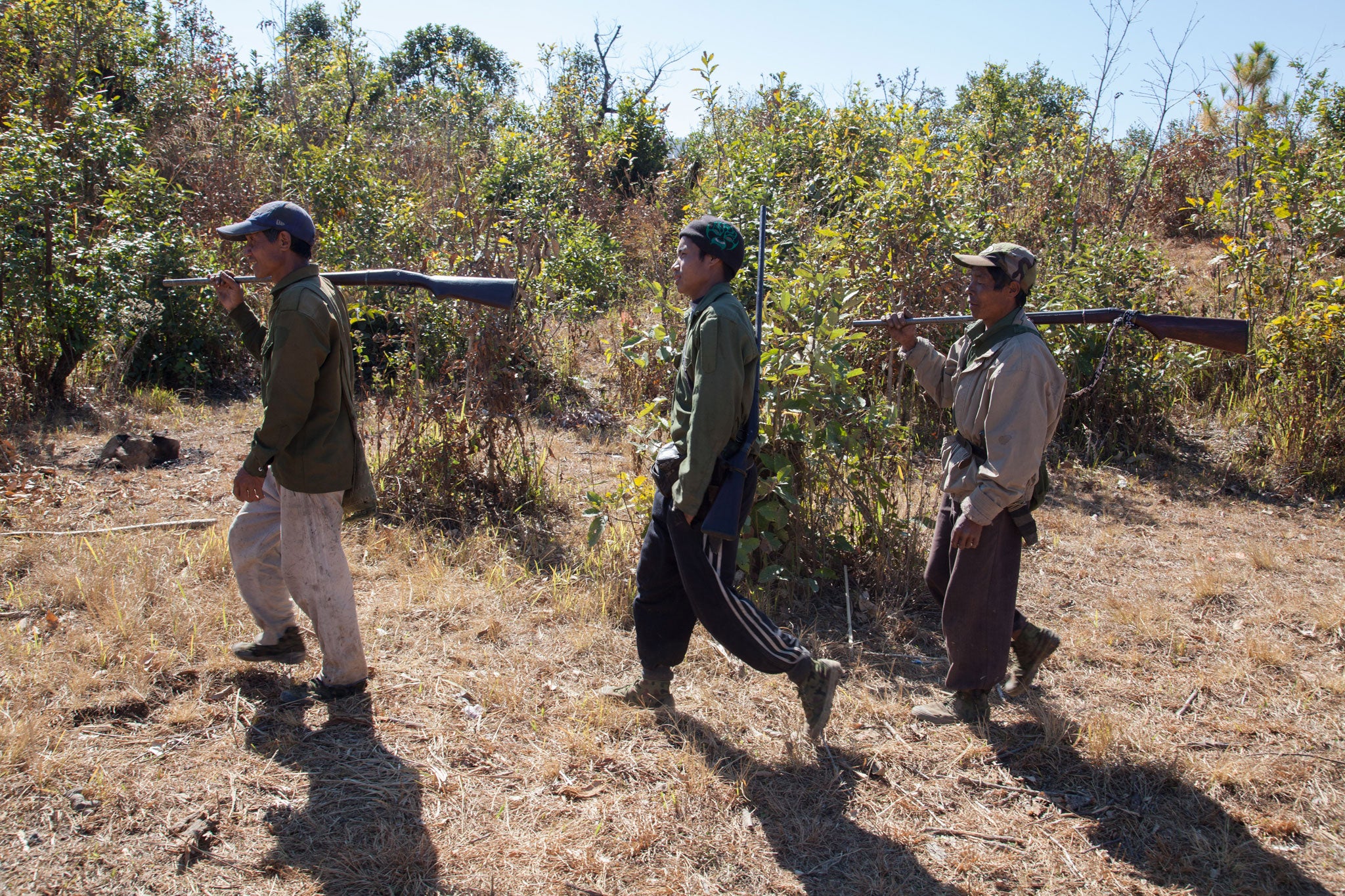 Chin hunters look for wild boar