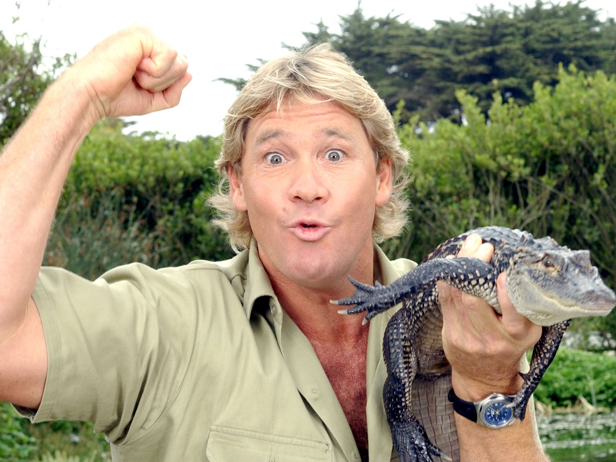 Steve Irwin