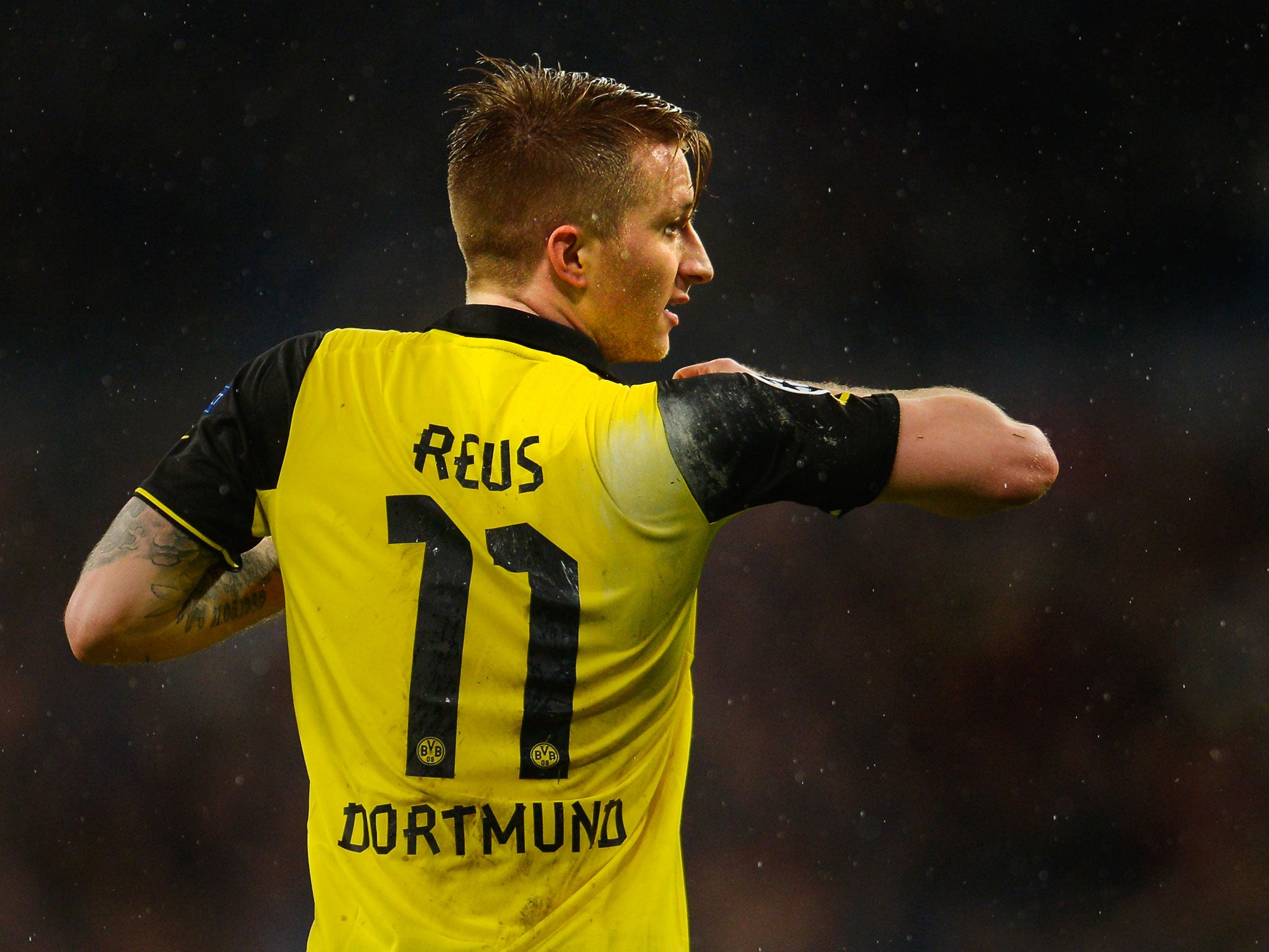 Reus has been a loss for Germany