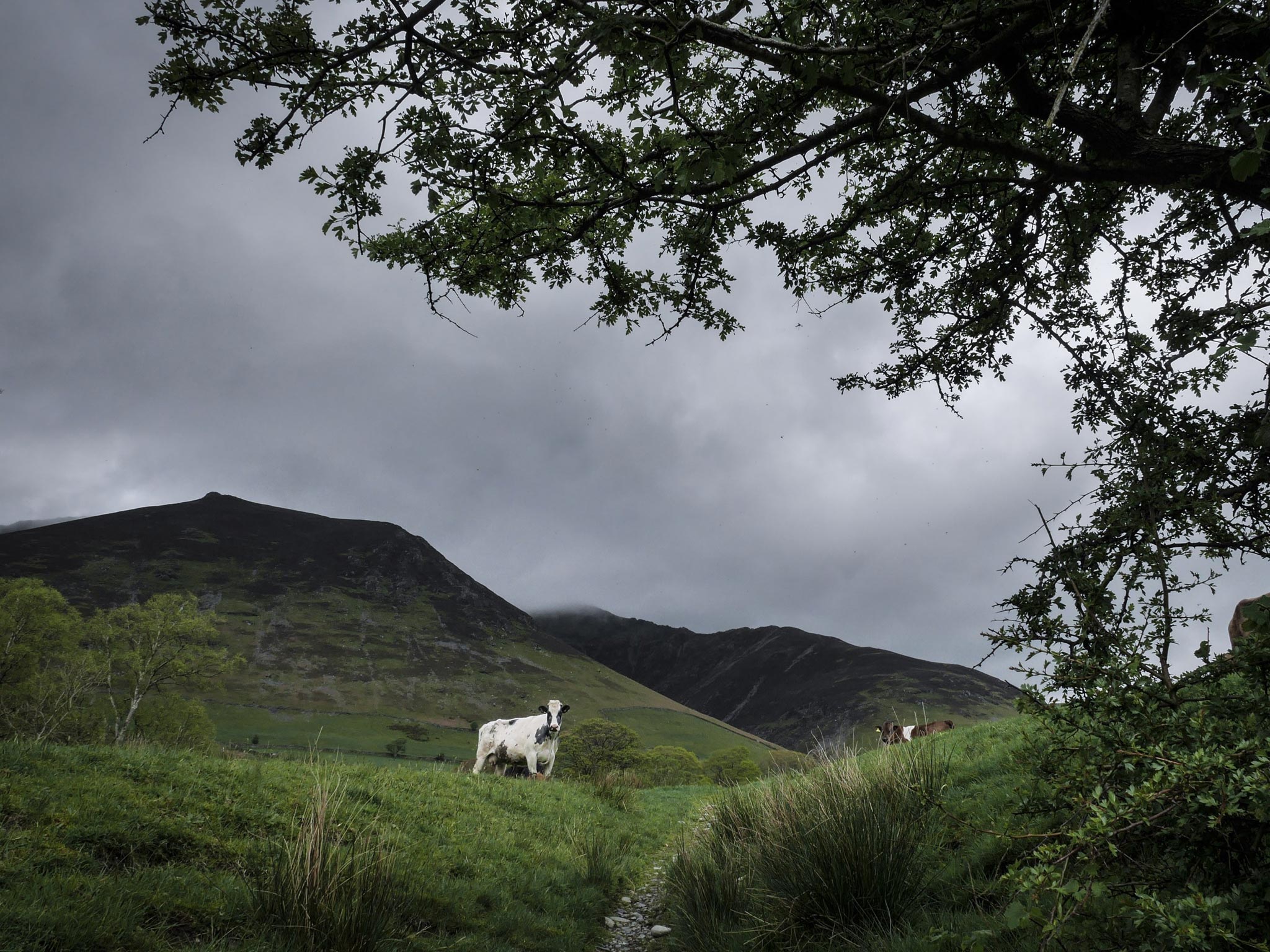 Interest in buying Blencathra mountain, or ‘Saddleback’, near Keswick, has been ‘off the scale’