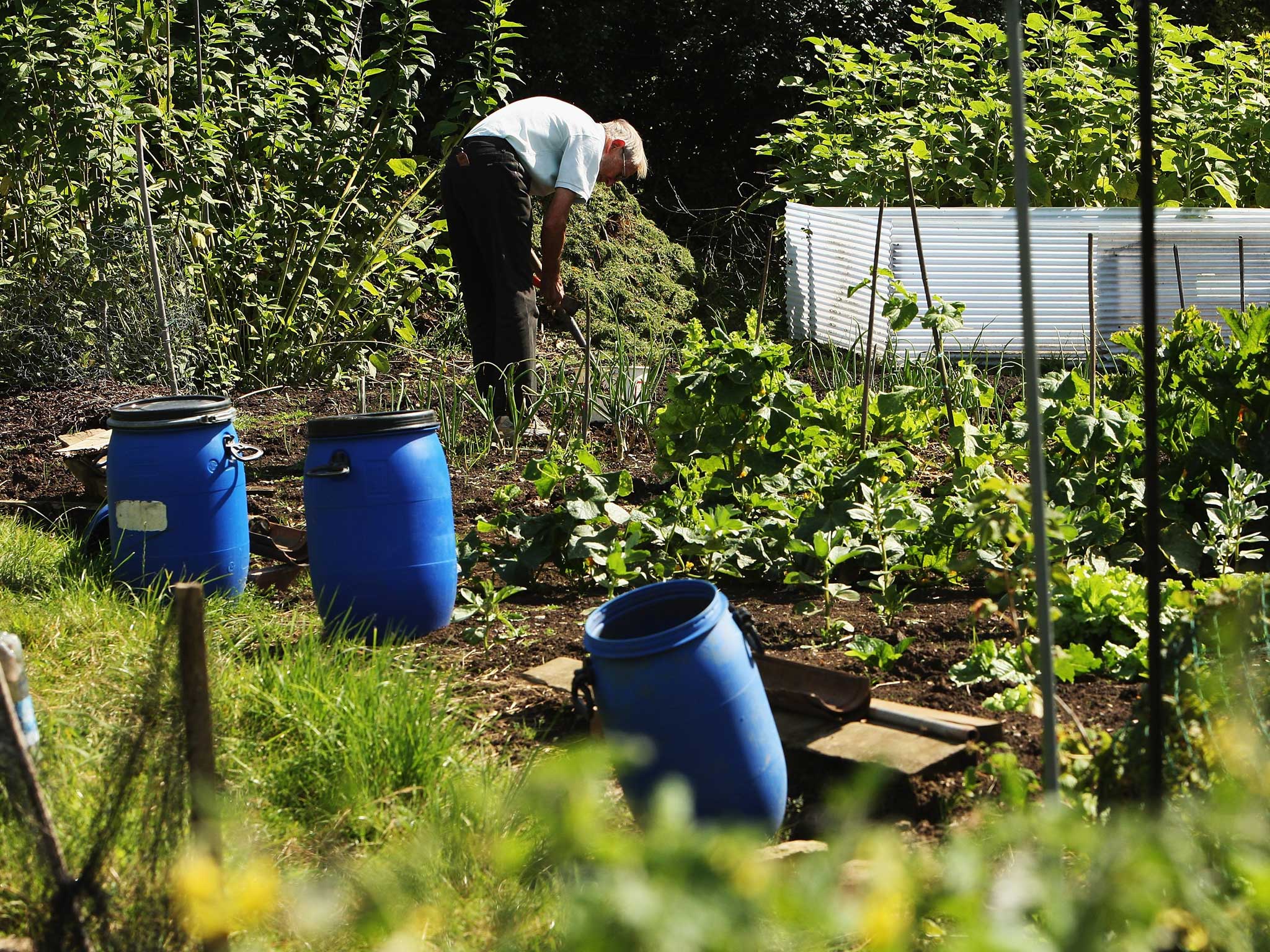 Pickles has claimed allotments are safe