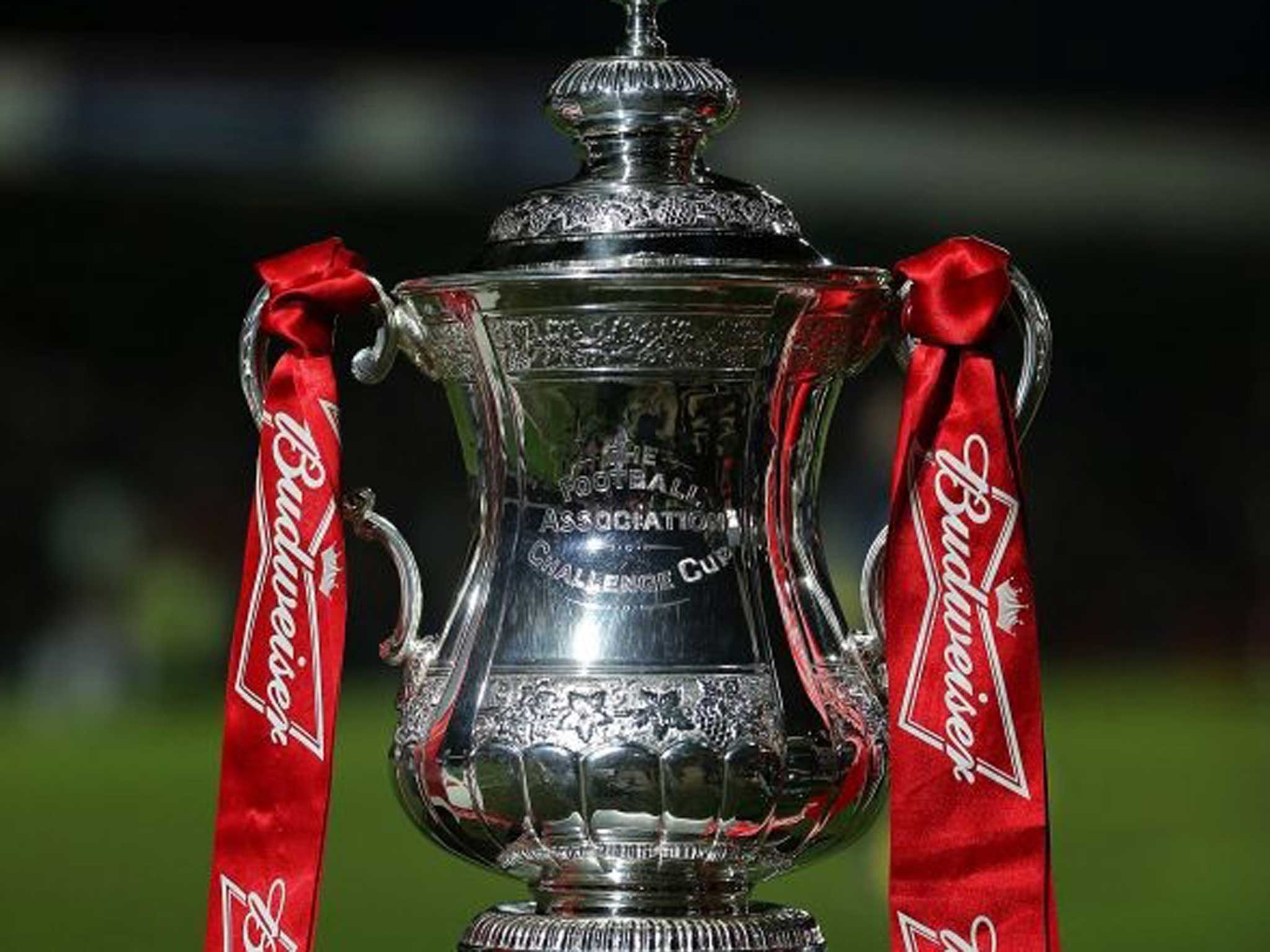 Cup runneth out: FA have yet to seal a sponsorship deal for next season