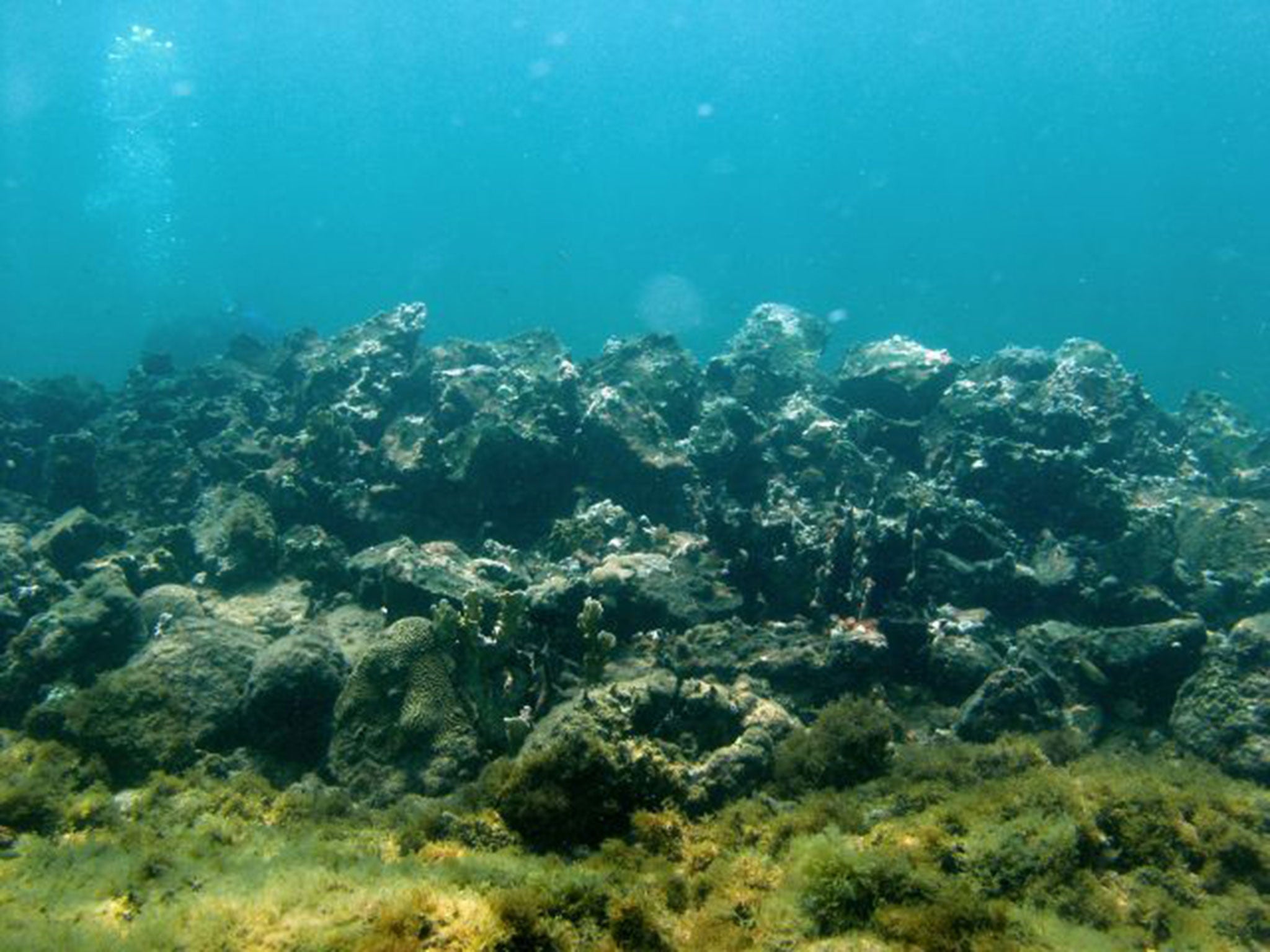 The underwater remains of what is thought to be Columbus’s flagship