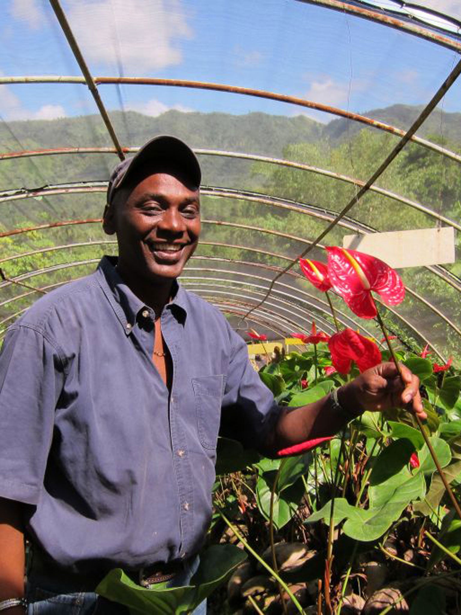 Red alert: Fletcher Frank shows of one of his anthuriums