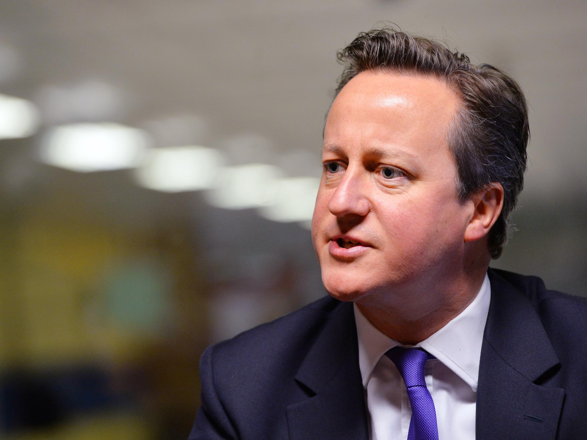 David Cameron admitted yesterday it was “frustrating” that publication had been delayed