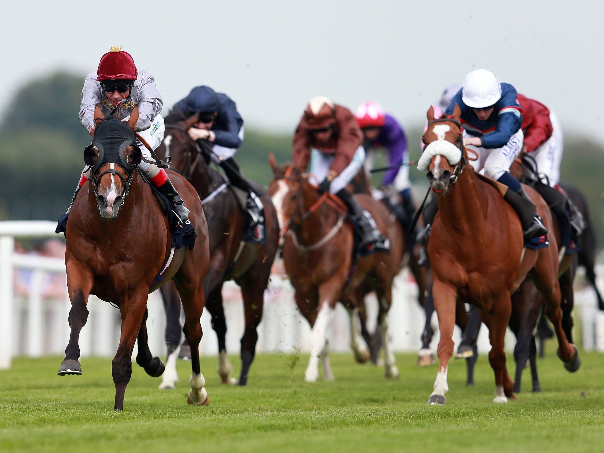 Leader of the pack: Frankie Dettori guides 11-8 favourite Olympic Glory to Lockinge Stakes triumph at Newbury