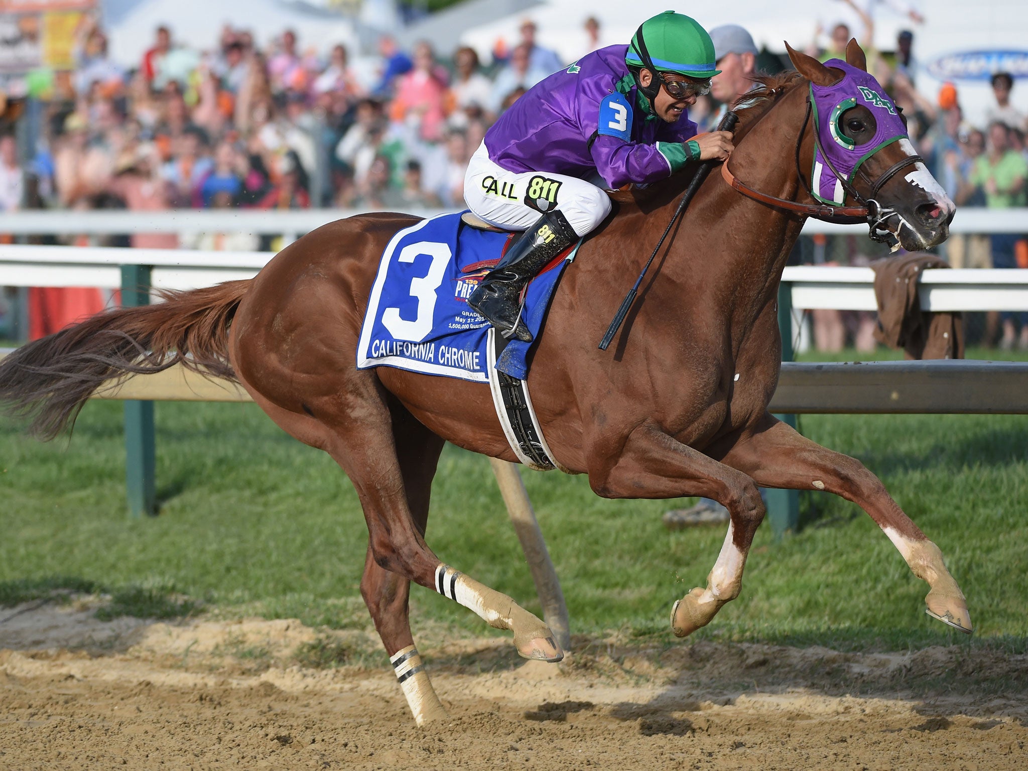 California Chrome #3, ridden by Victor Espinoza, races to the finishline to win the 139th running of the Preakness Stakes at Pimlico Race Course