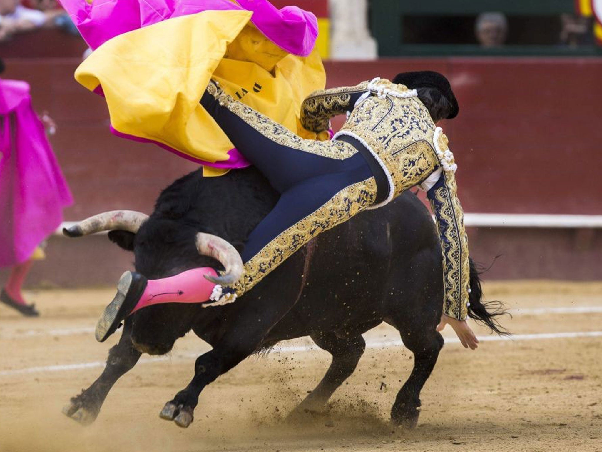 Spanish matador David Mora is gored by a bull during a bullfight