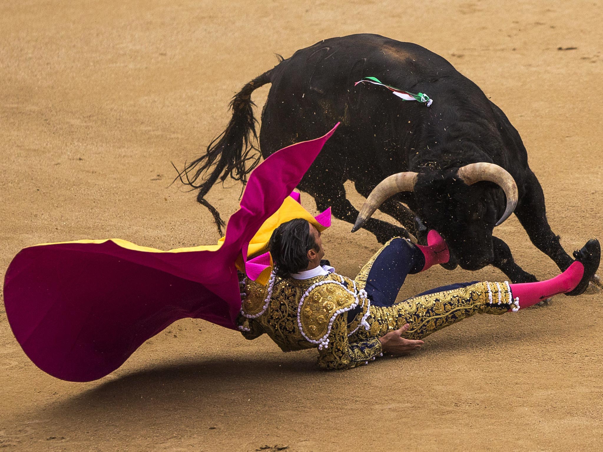 Mexico City is considering a ban on bullfighting