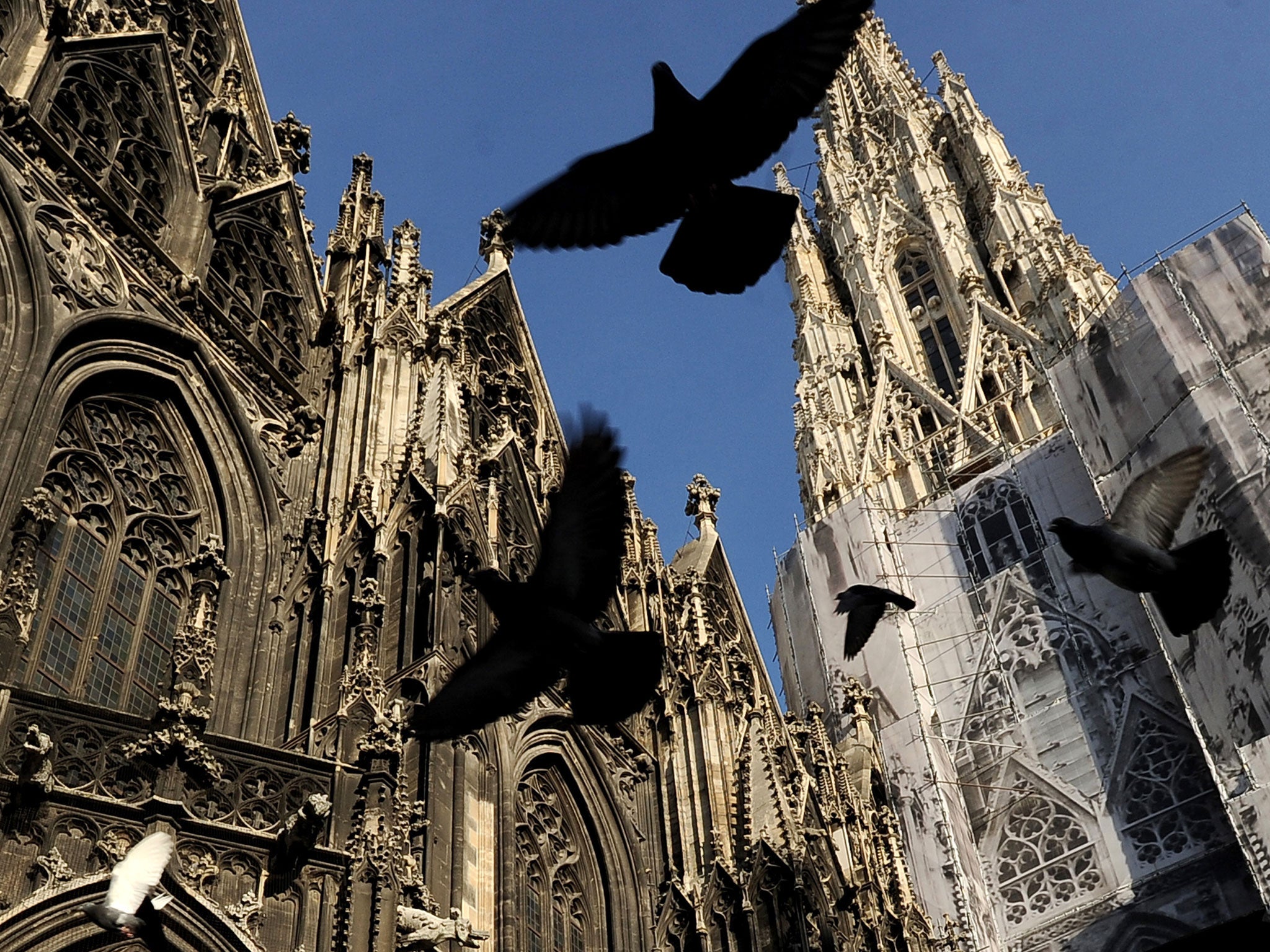 Pigeons fly outside St. Stephen's Cathedral, Vienna