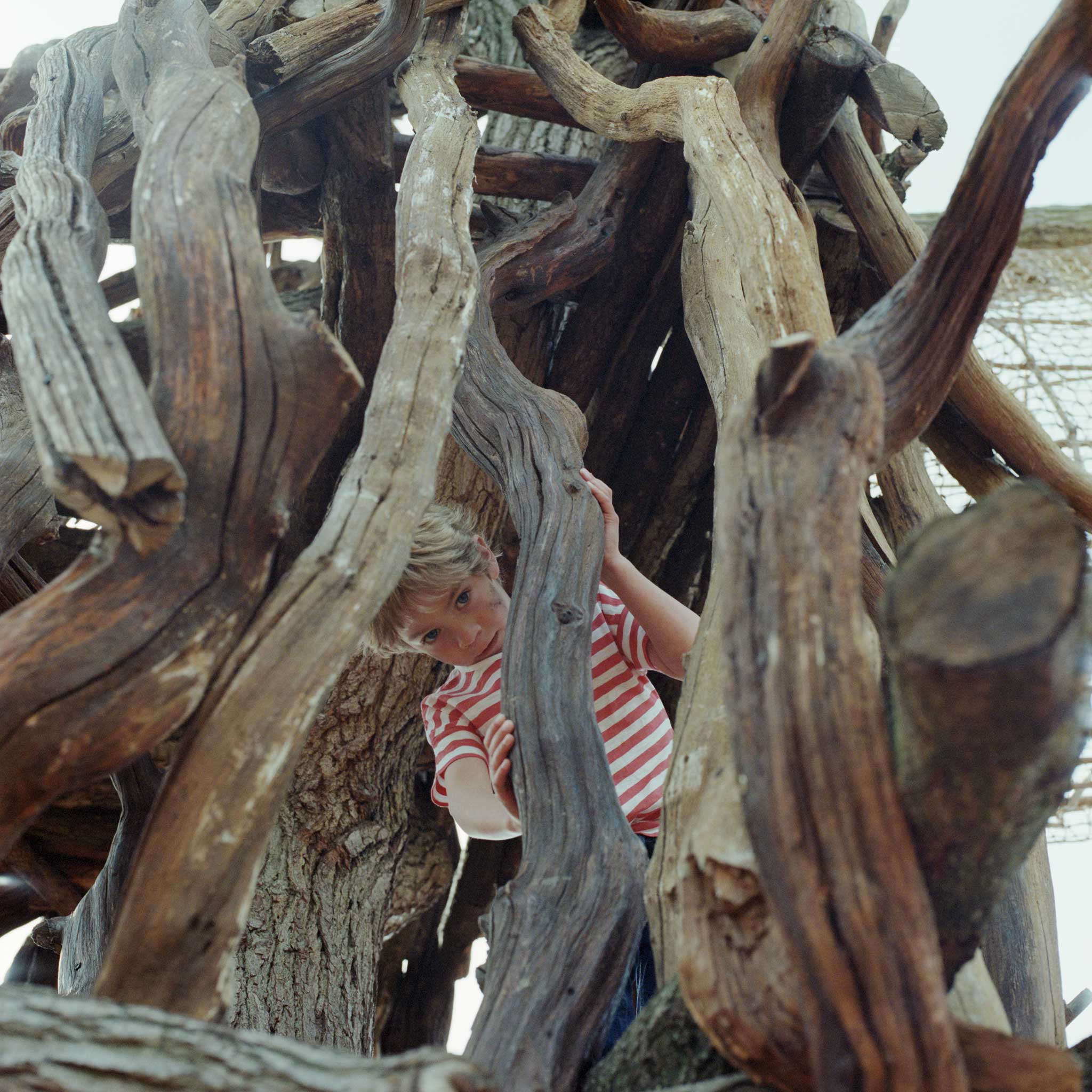 Louis makes it across the rope bridge and finds the perfect hiding place in a twisty tree