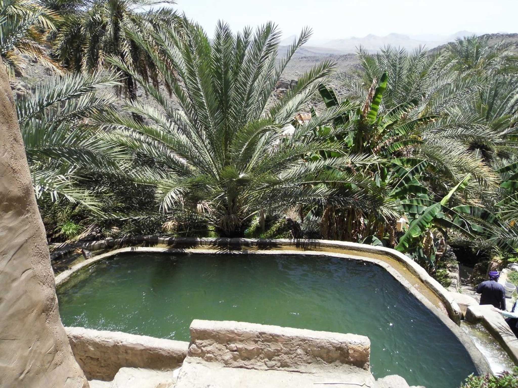 A falaj pool in Misfat