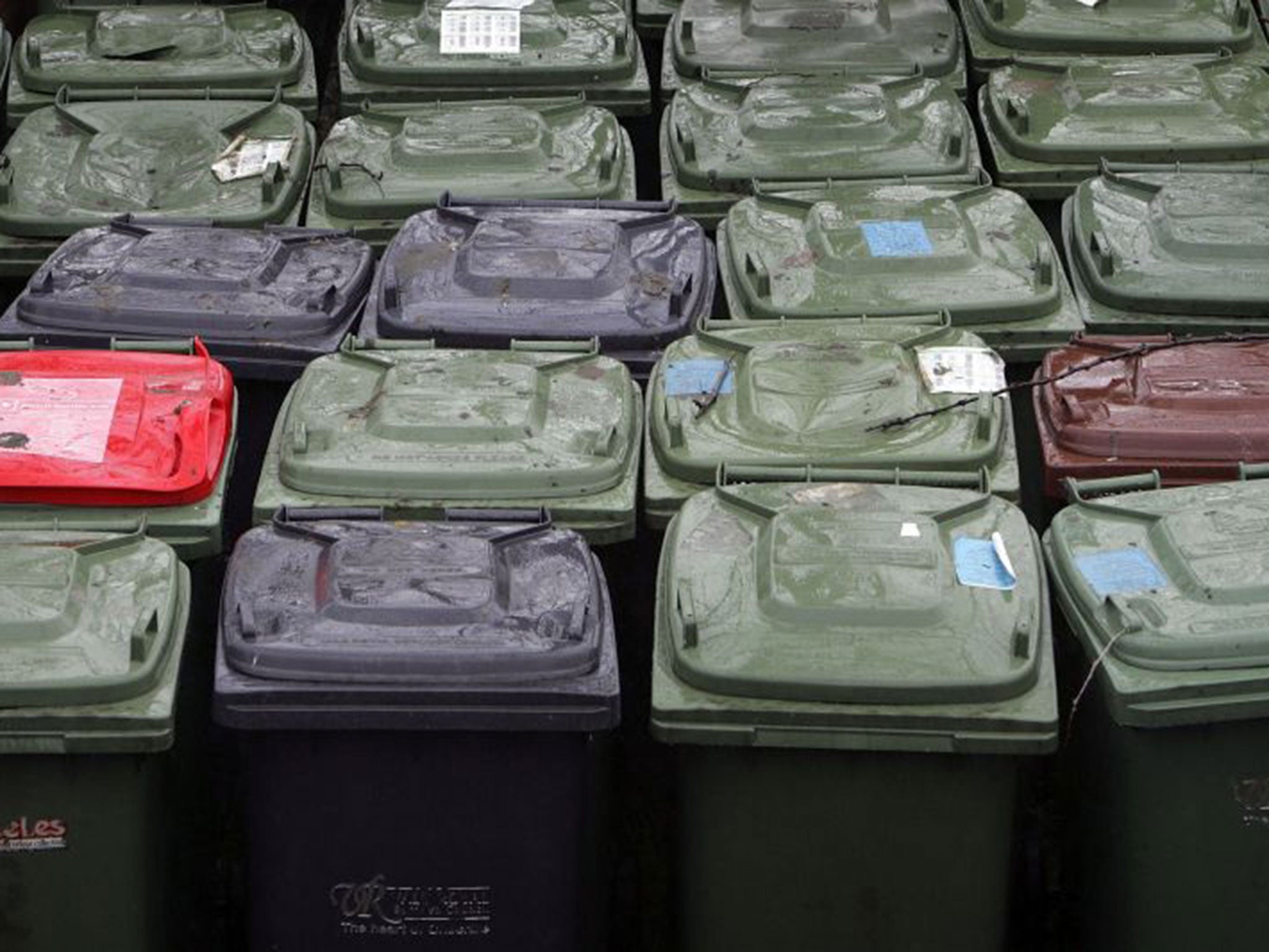 Barely keeping a lid on it: councils are juggling bin sizes and numbers