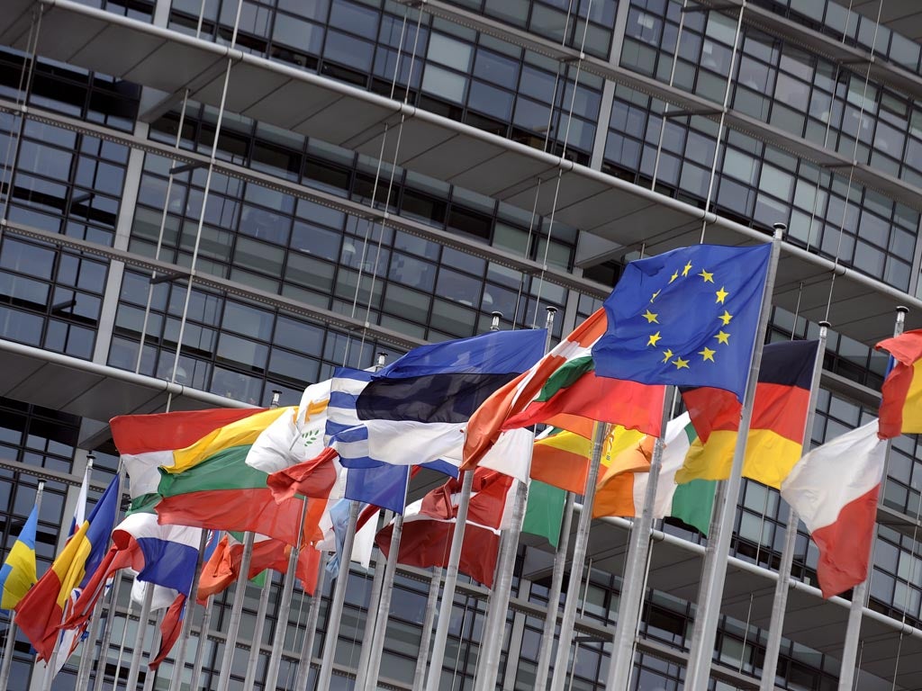 Flags of the European Union countries are hoisted in front of the European Parliament on August 1, 2010 in the French eastern city of Strasbourg.