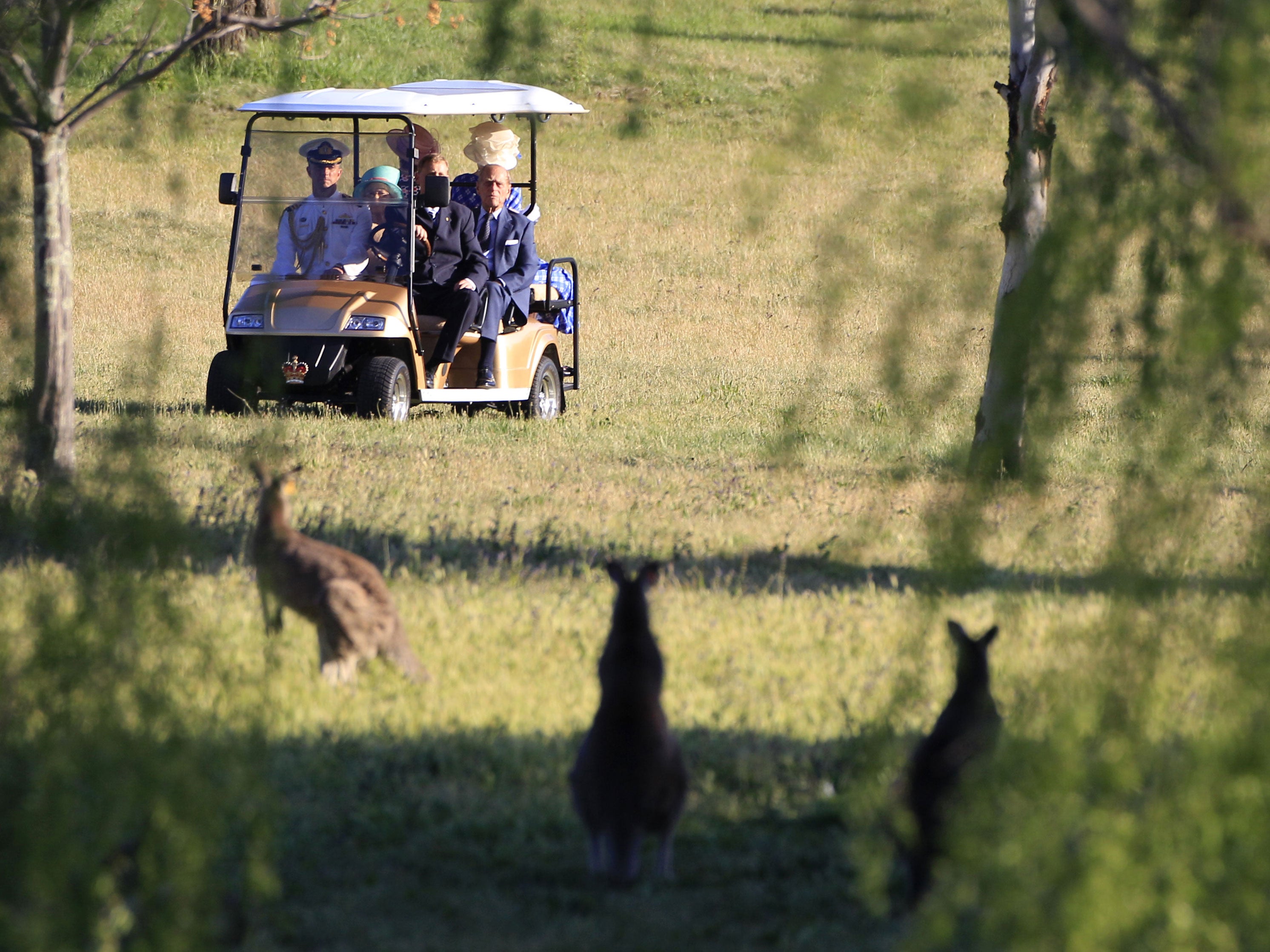 Queen Elizabeth II and Prince Philip view grey kangaroos in the grounds of Government House, Canberra, in 2011.