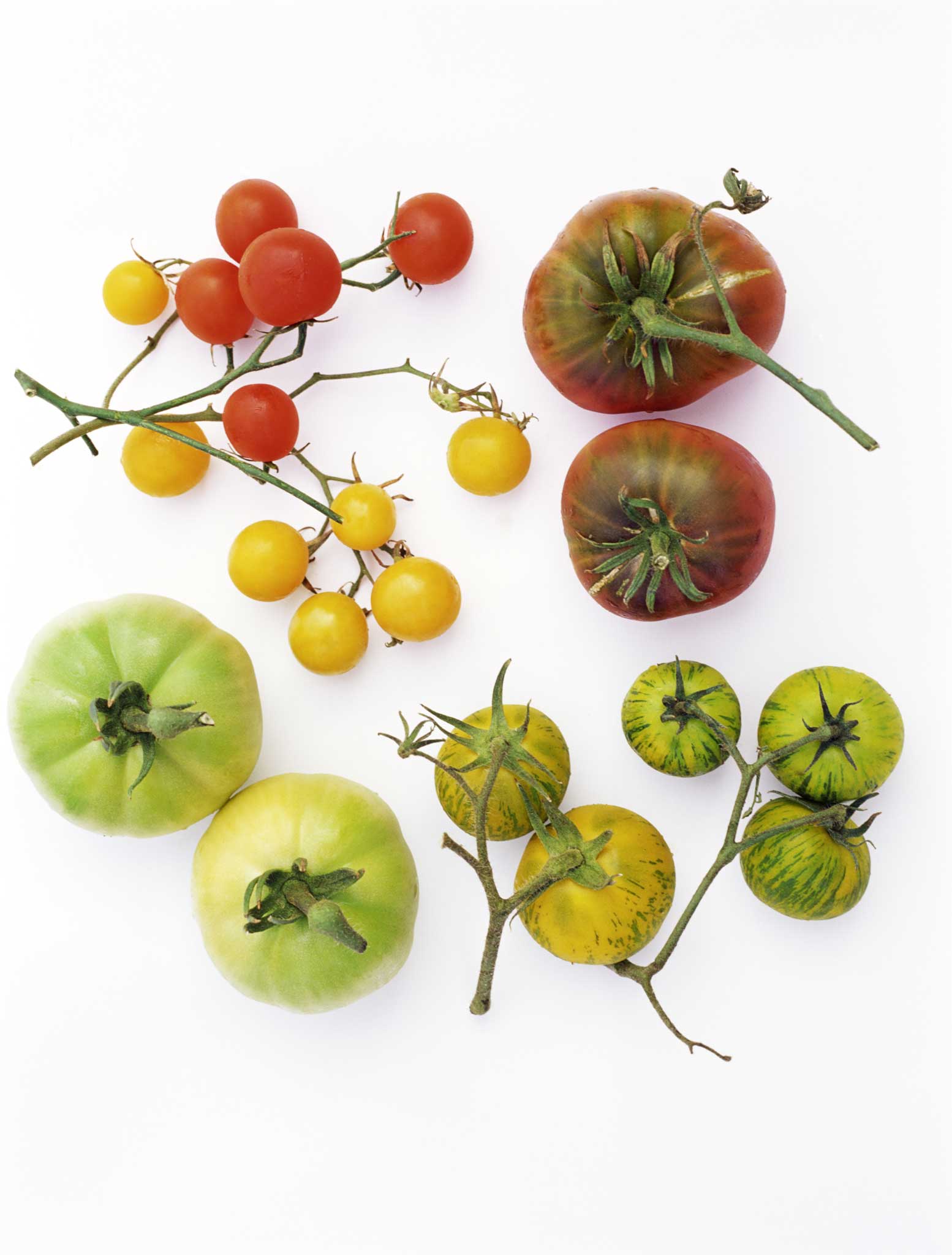 Ripe for the picking: Assorted tomato varieties