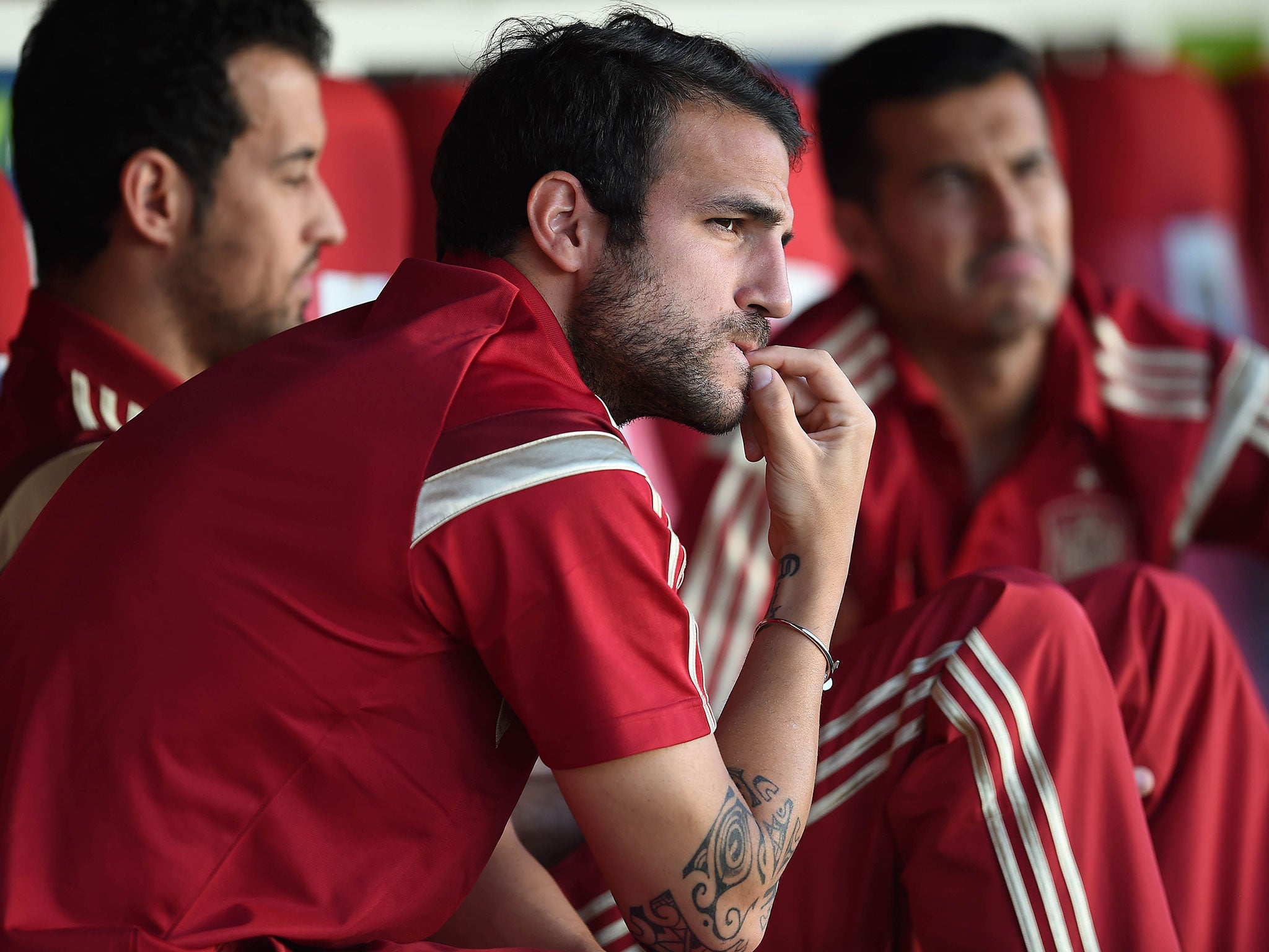 Cesc Fabregas pictured with the Spain squad