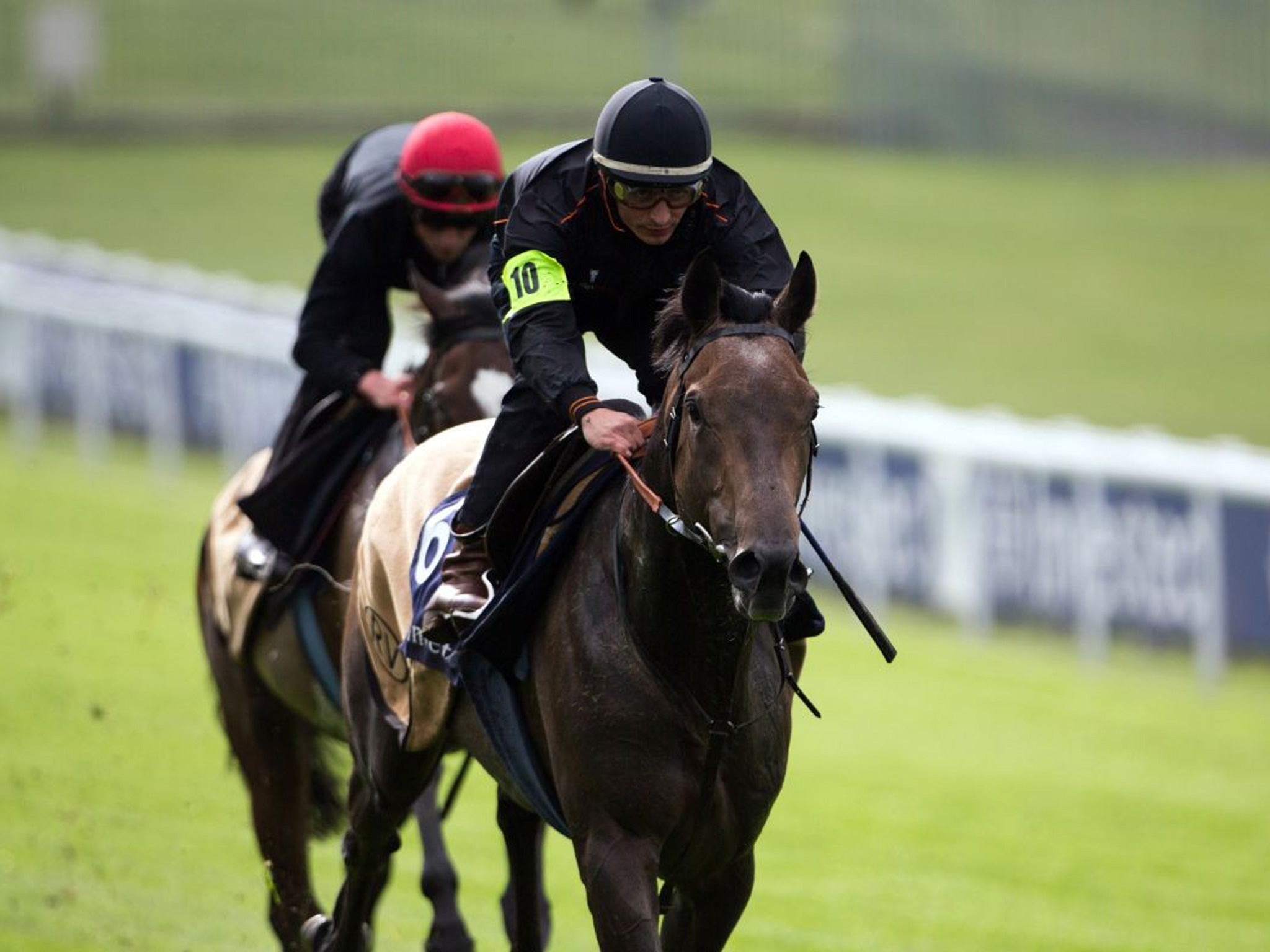 Eyes on Epsom: Kingston Hill and jockey Andrea Atzeni familiarise themselves with the switchback Derby course before Saturday’s big event