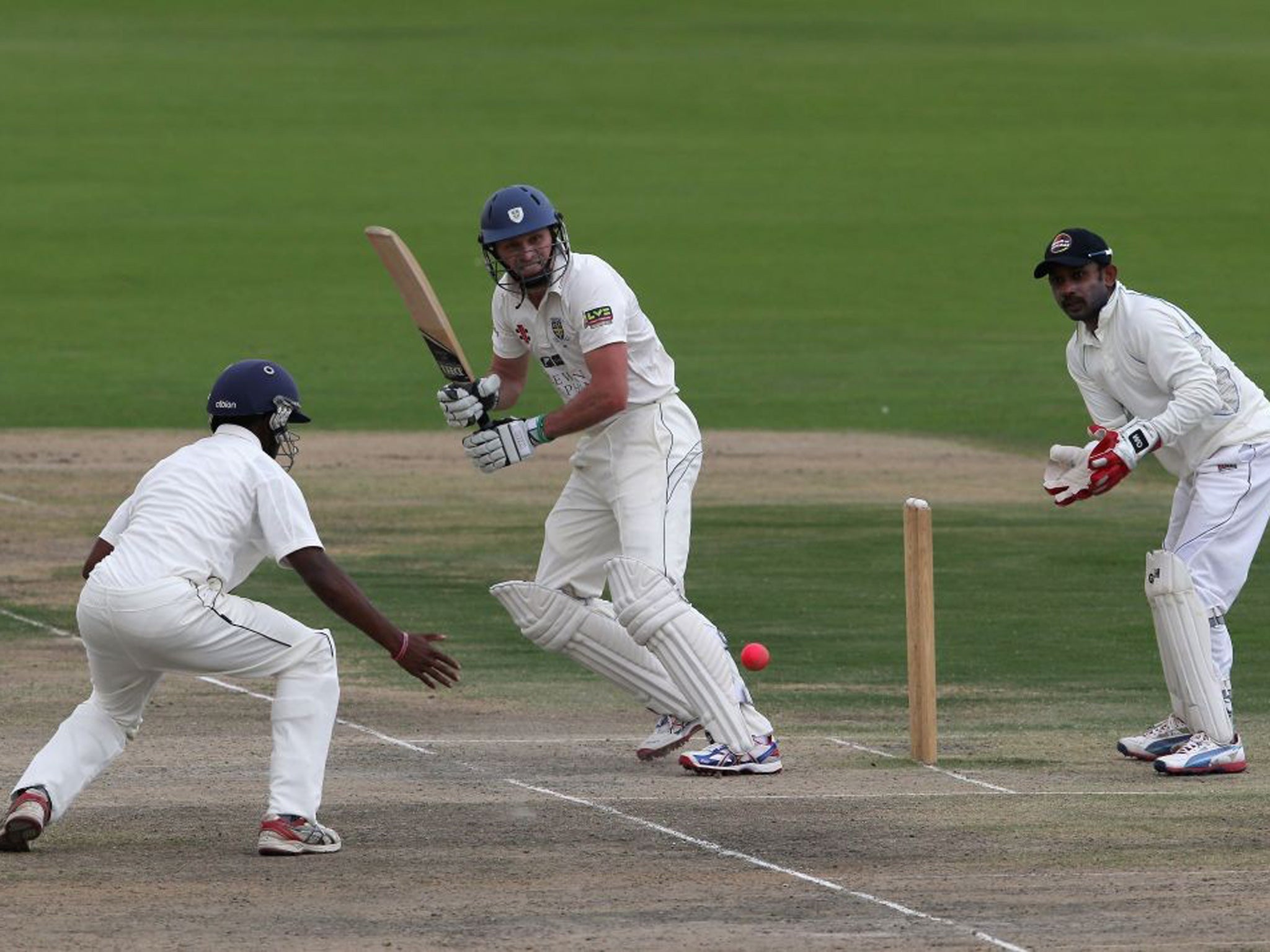 Top score: Gordon Muchall hit 158 not out in the Championship against Notts