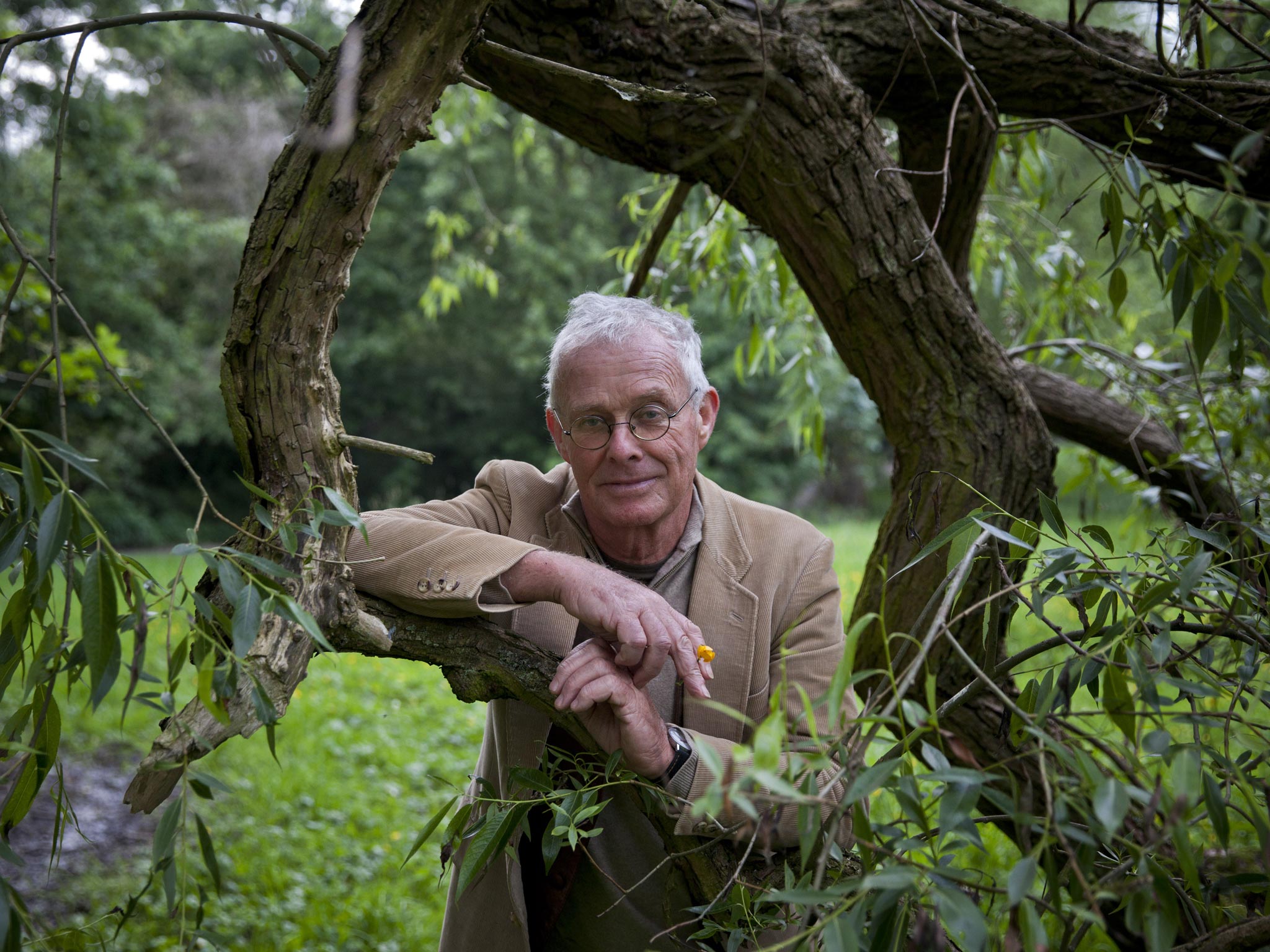 At one with nature: Chris Stewart’s love of the land started after school when he took the unconventional step into pig farming