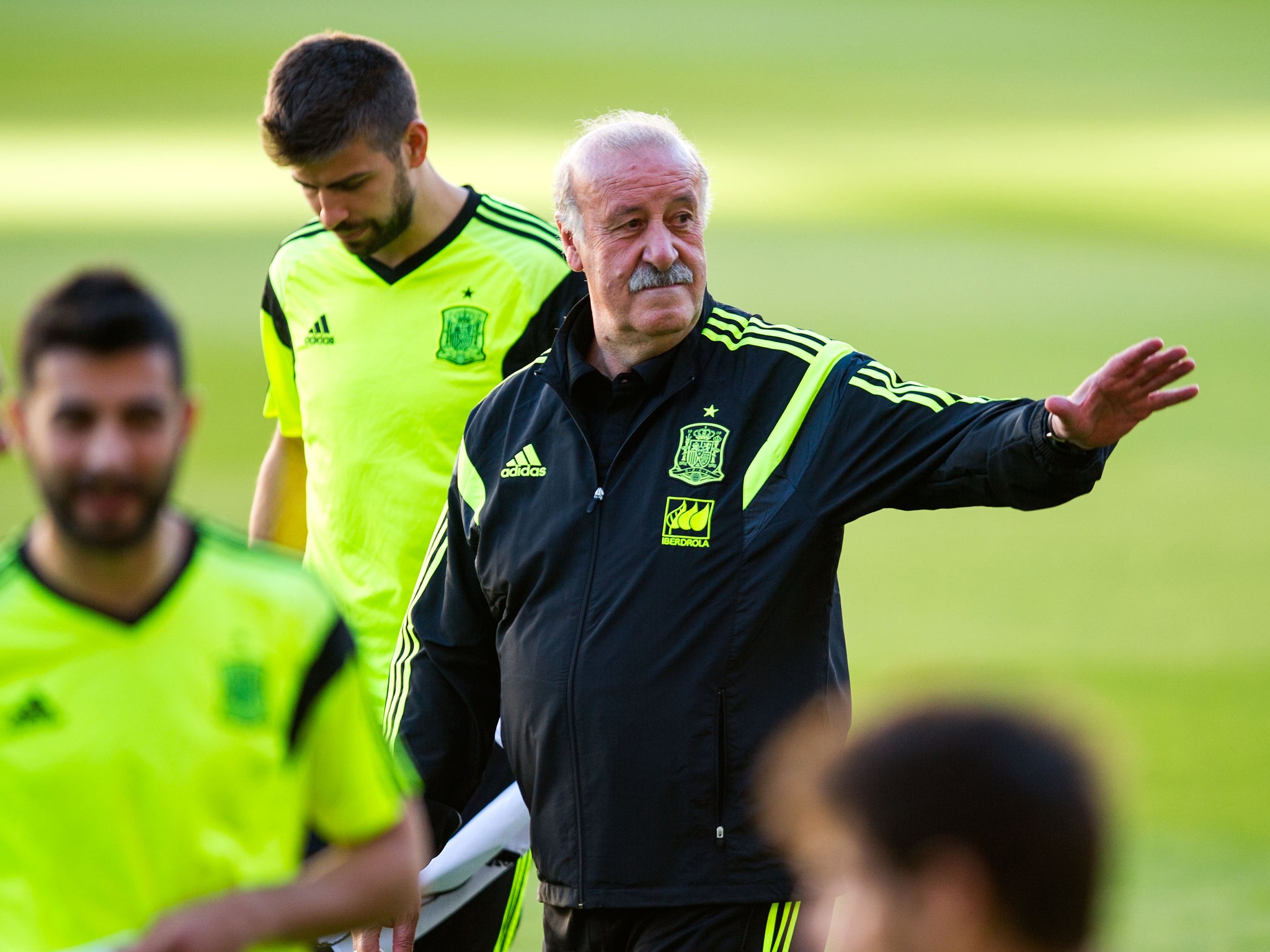 Spain manager Vicente Del Bosque