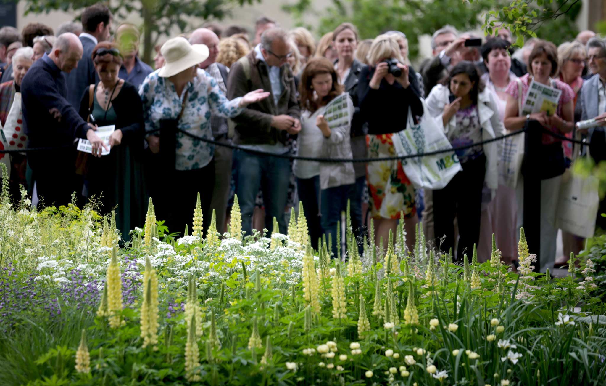 'Heavenly': Visitors admire the Laurent-Perrier Best in Show garden