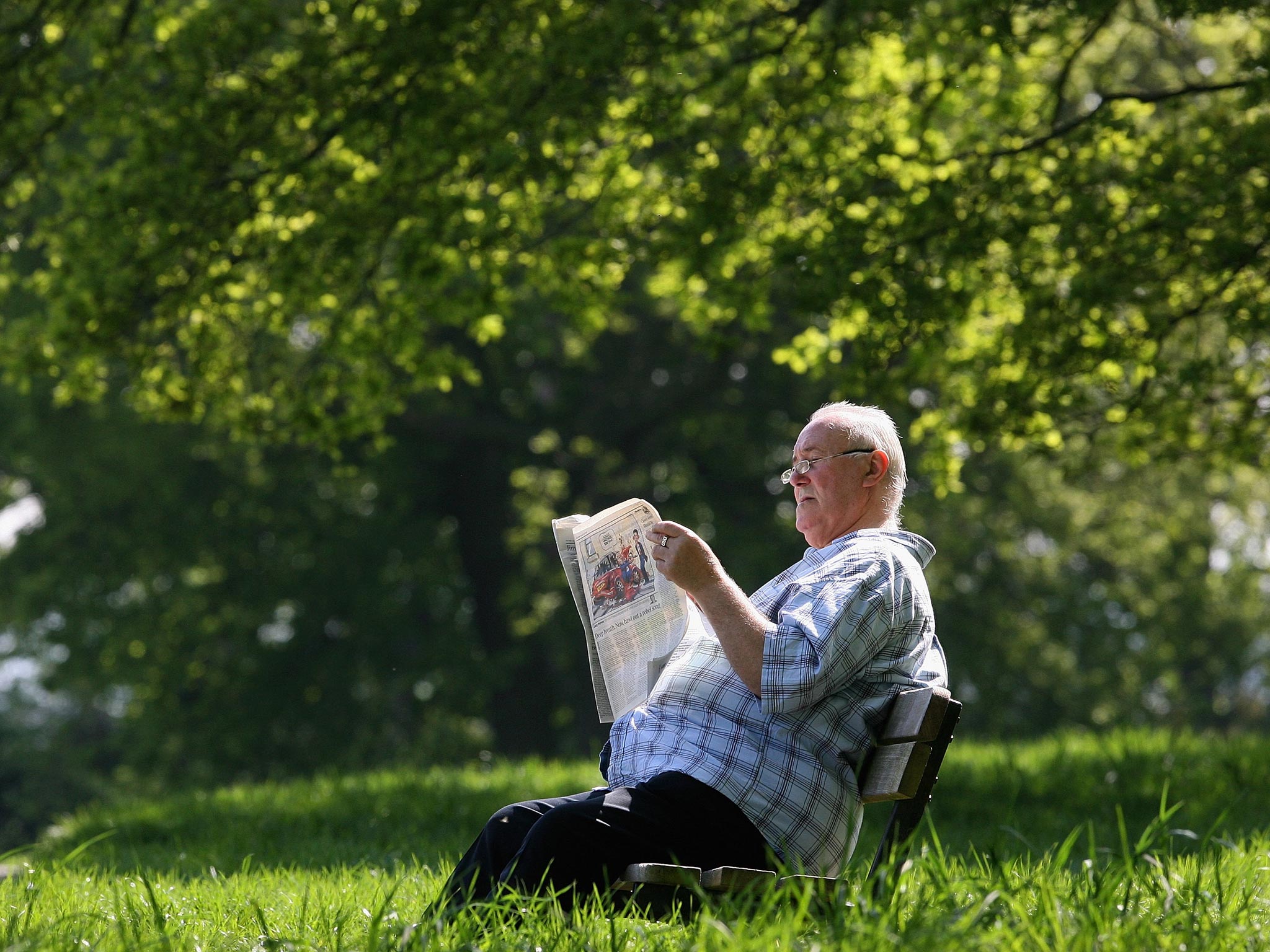 The three-day show will be held on Hampstead Heath