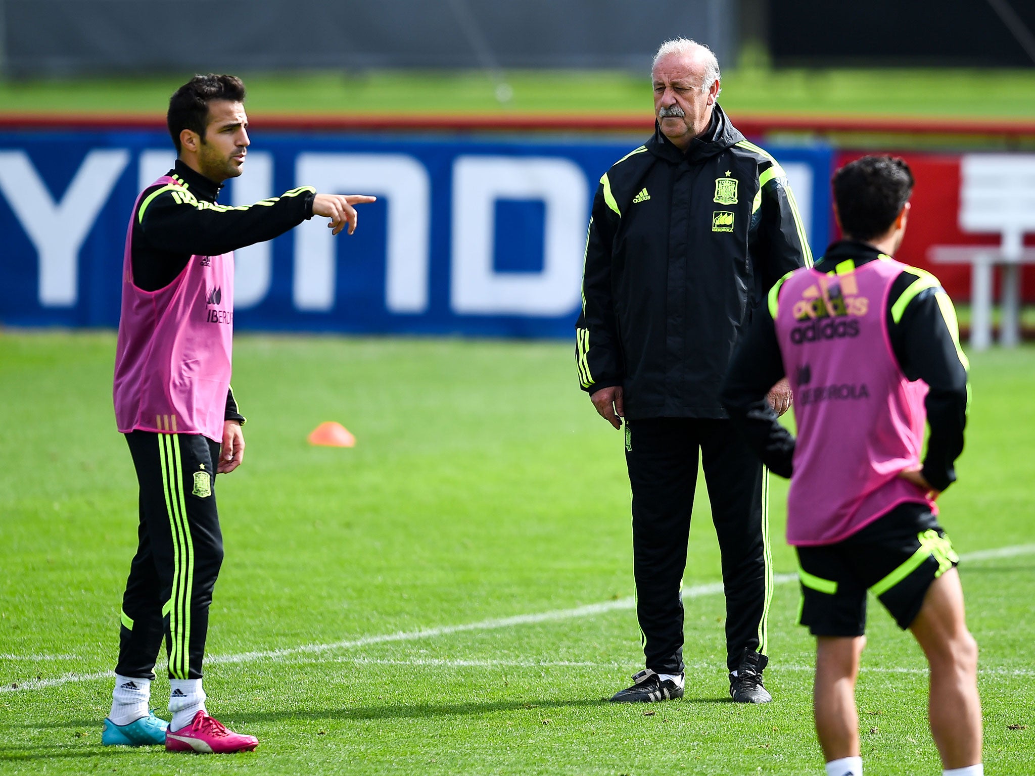 Cesc Fabregas (left) and Vicente del Bosque speak during Spain's training before he removed his bib