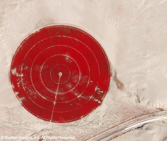 An image showing Center Pivot Irrigation in Saudi Arabia captured by Skybox's satellites. Image credit: Skybox Imaging