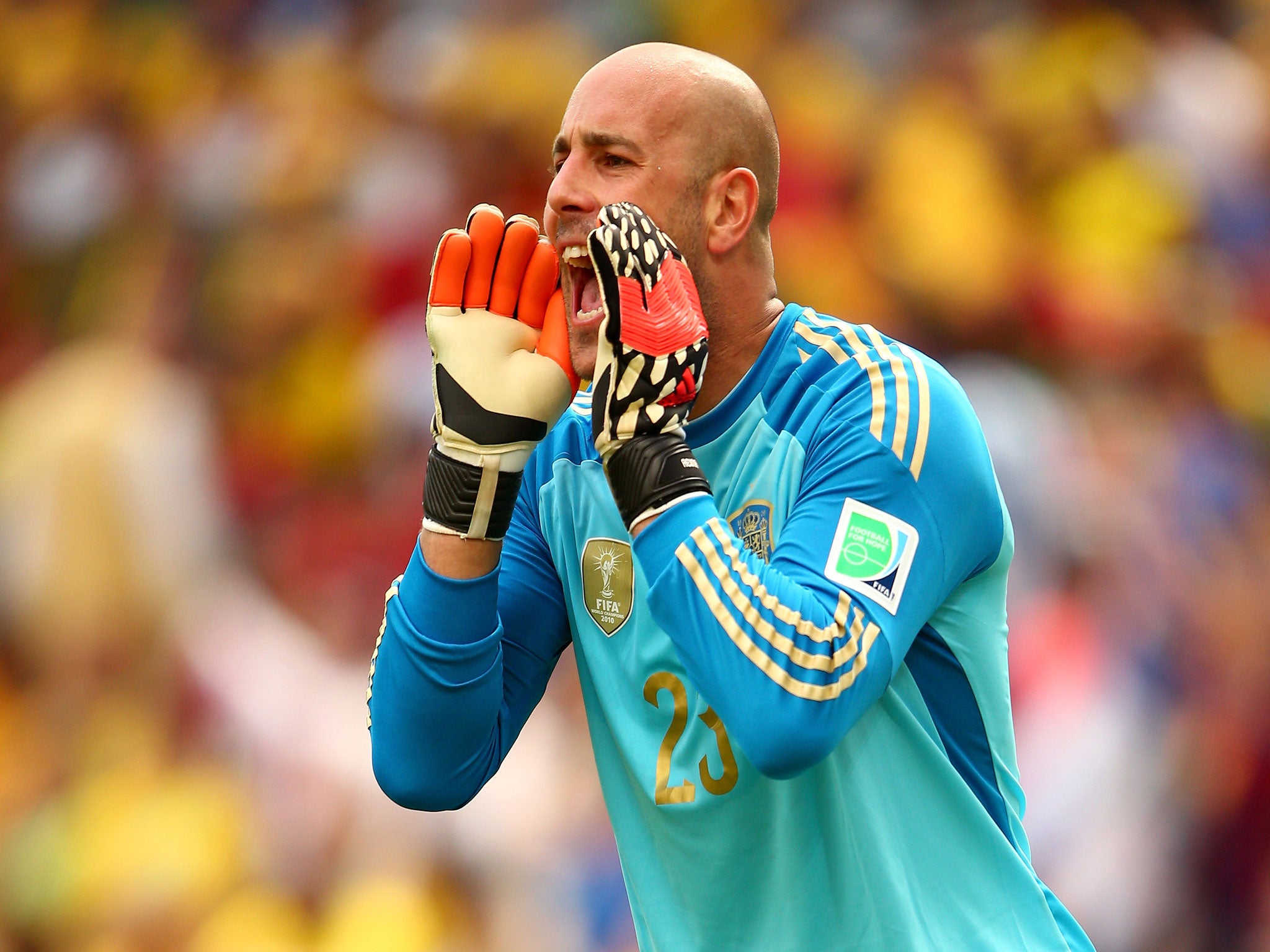 Pepe Reina, Spain