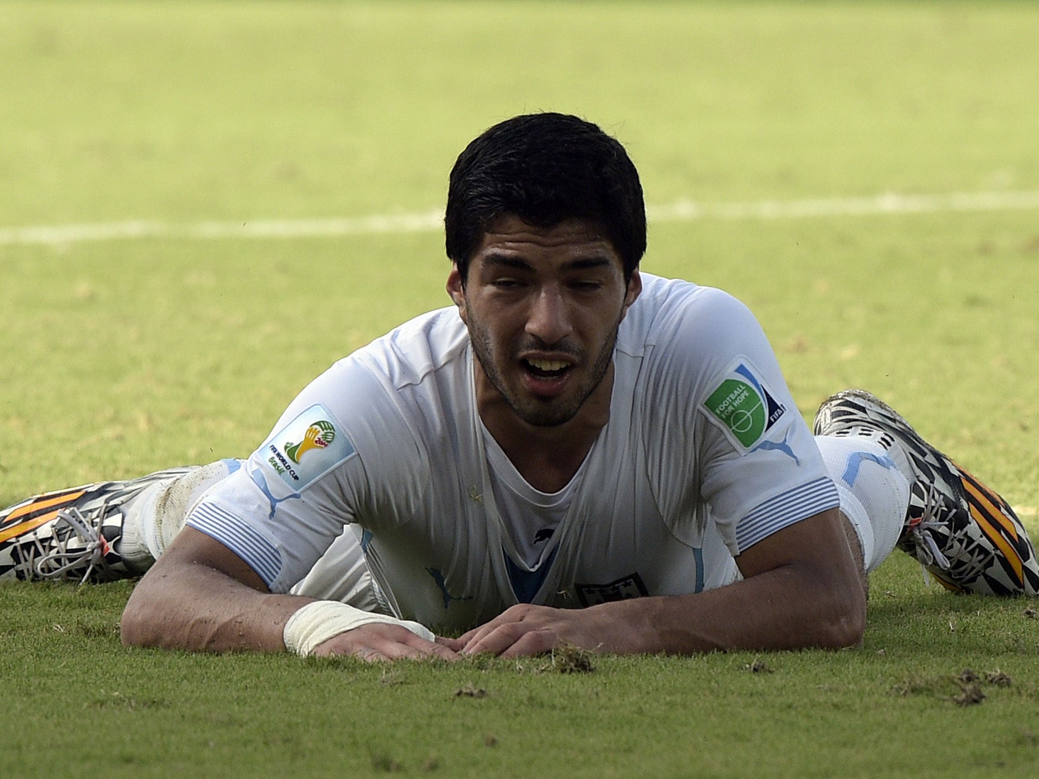 Luis Suarez