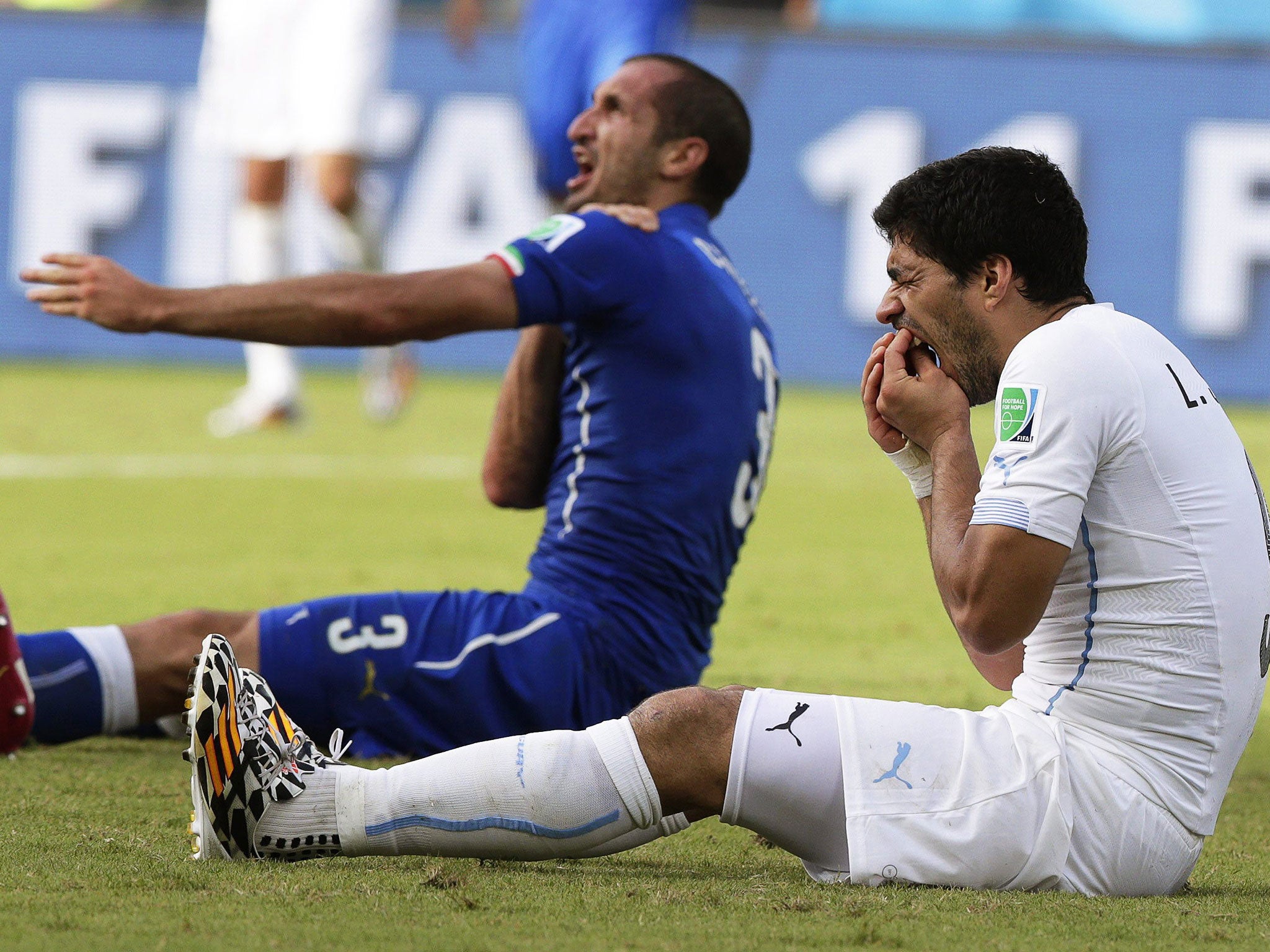 Chiellini and Suarez will not meet in the final