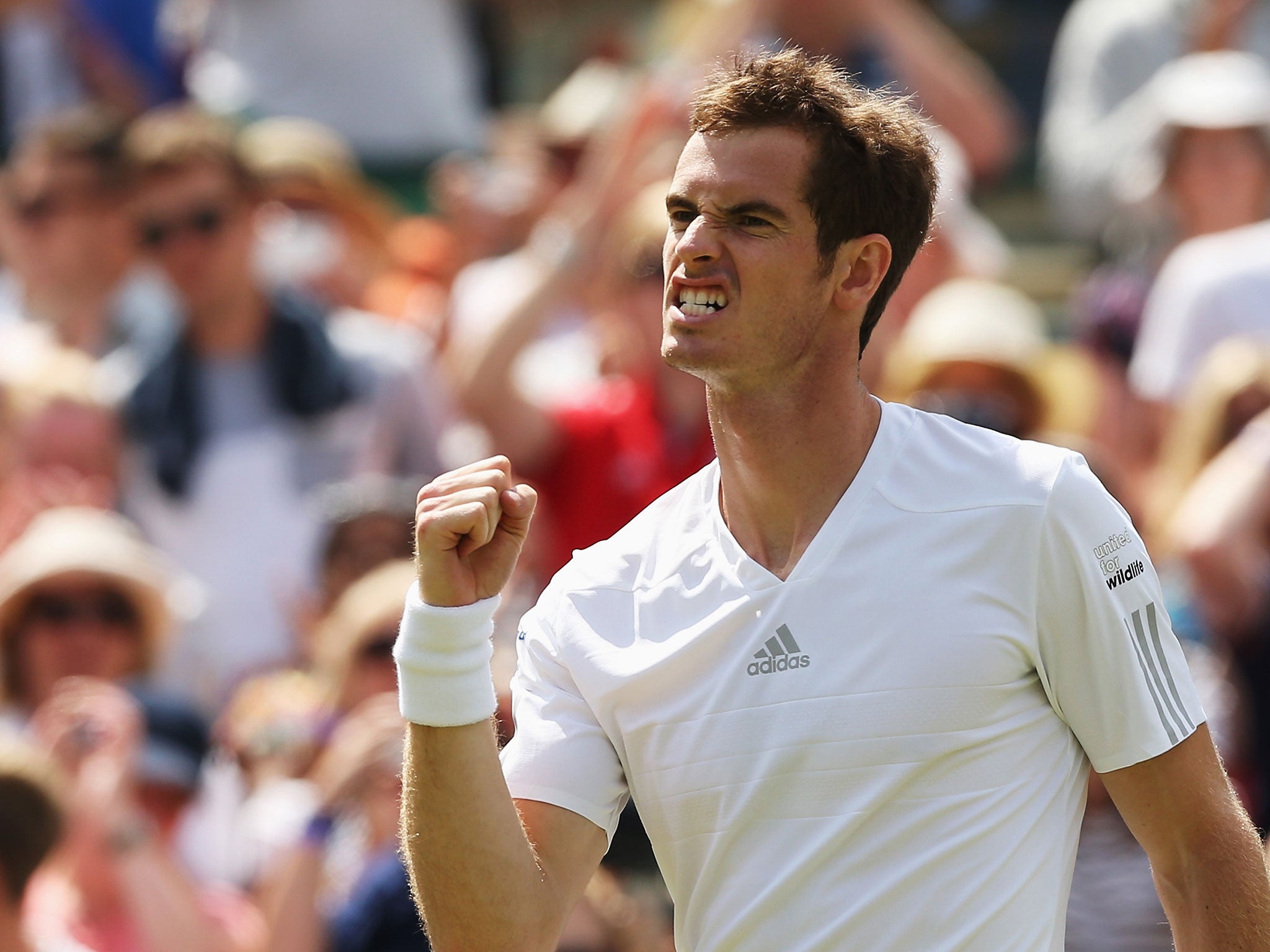 Andy Murray celebrates his second-round success over Blaz Rola