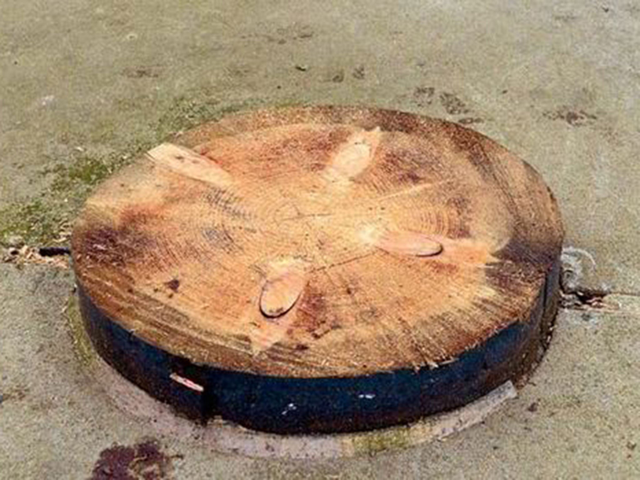 All that now remains of the Otley maypole is a shaved stump