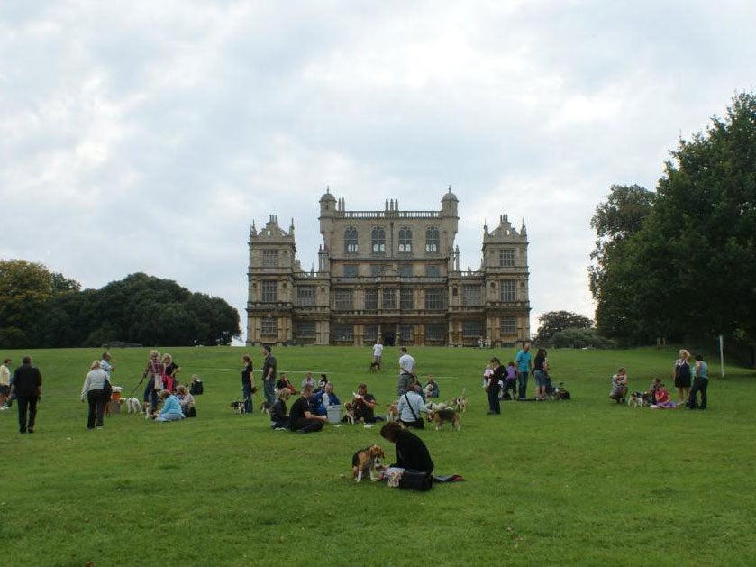 Wollaton Park in Nottingham