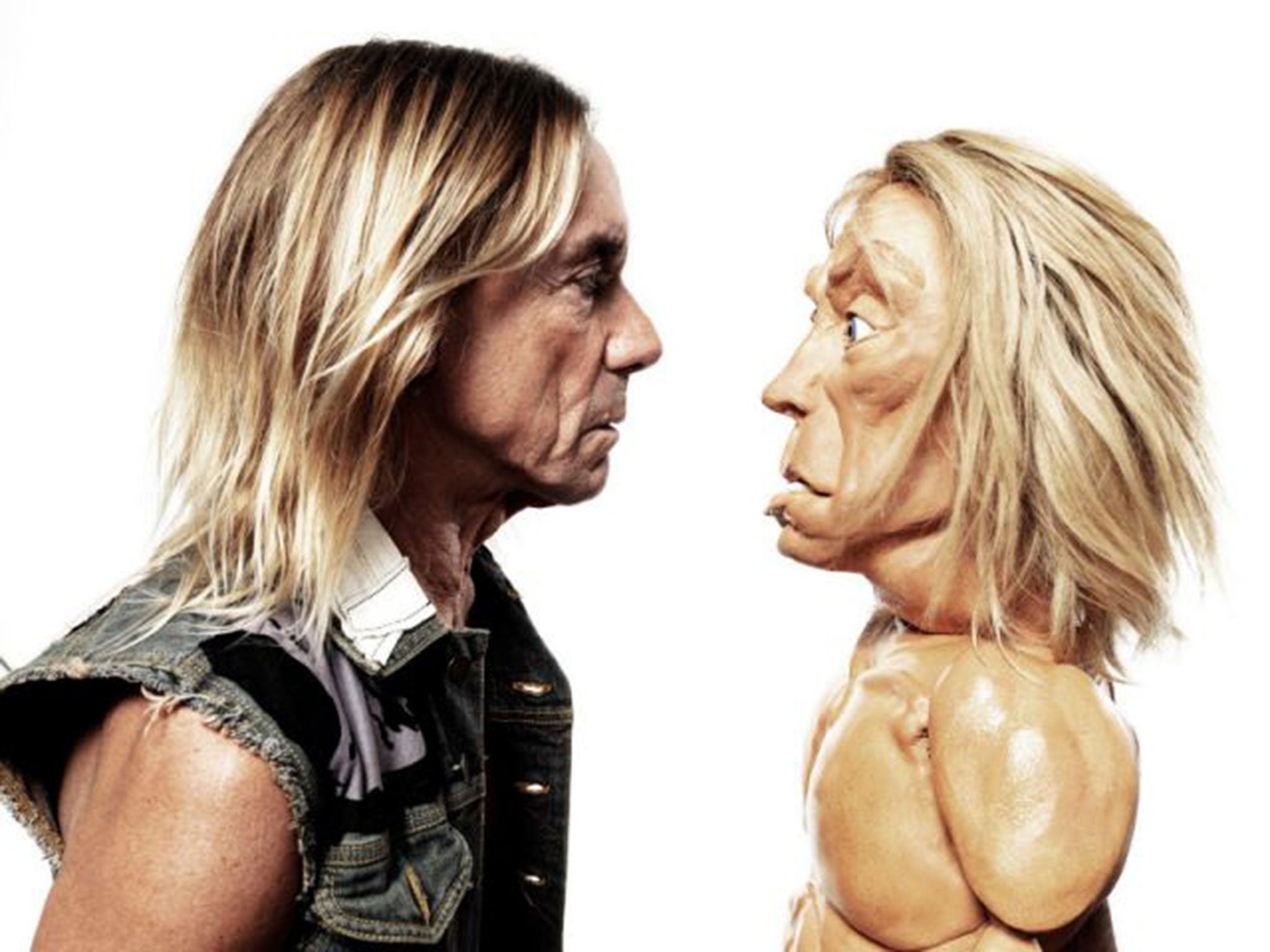 Iggy Pop fronted an ad campaign for Swiftcover car insurance