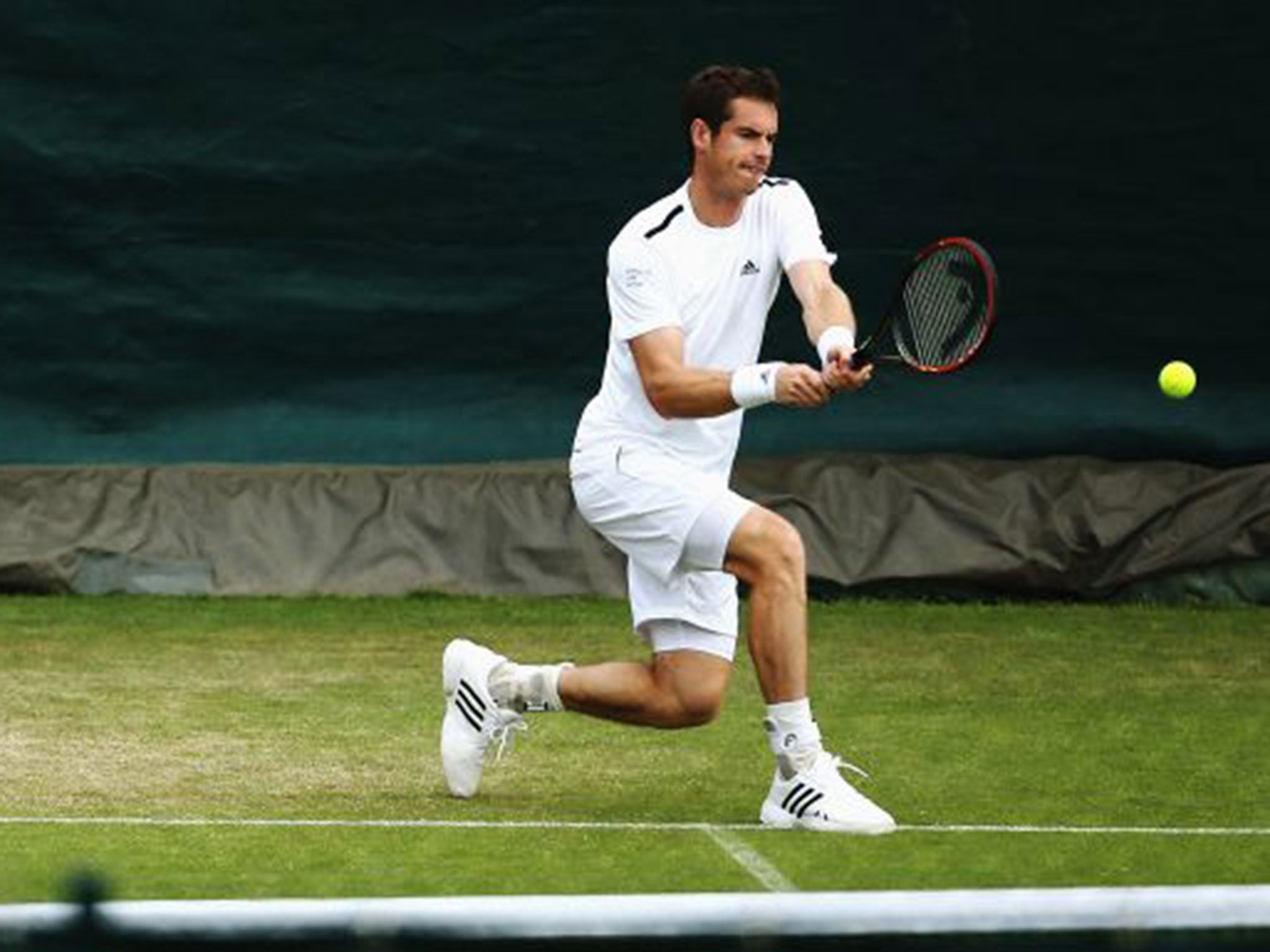 Ball-watching: Andy Murray practises before facing Kevin Anderson in the fourth round (Getty)