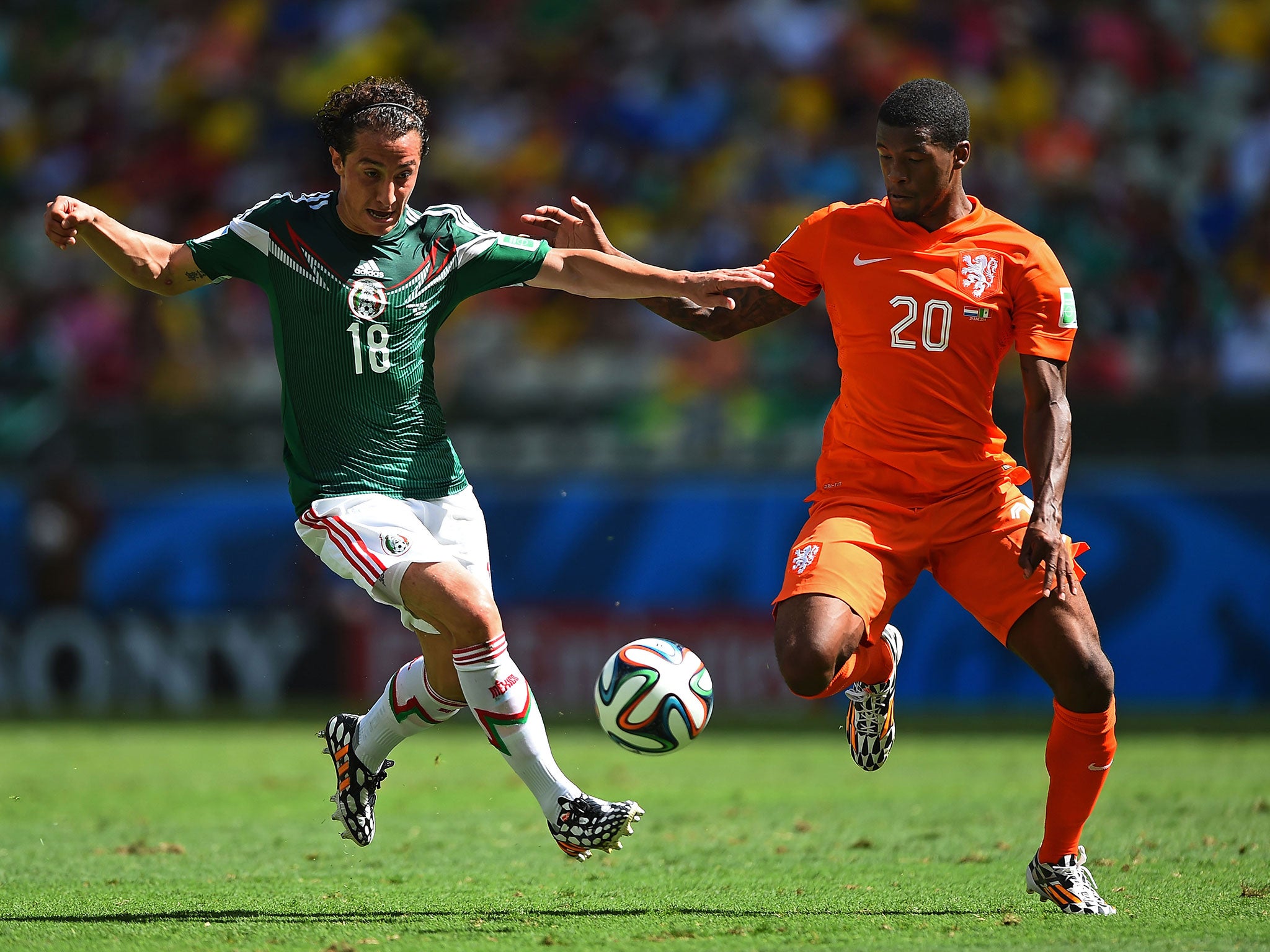 Georginio Wijnaldum (right) in action for Holland during the World Cup