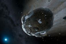 Amateur astronomer spots potentially dangerous asteroid just days before it flies past Earth