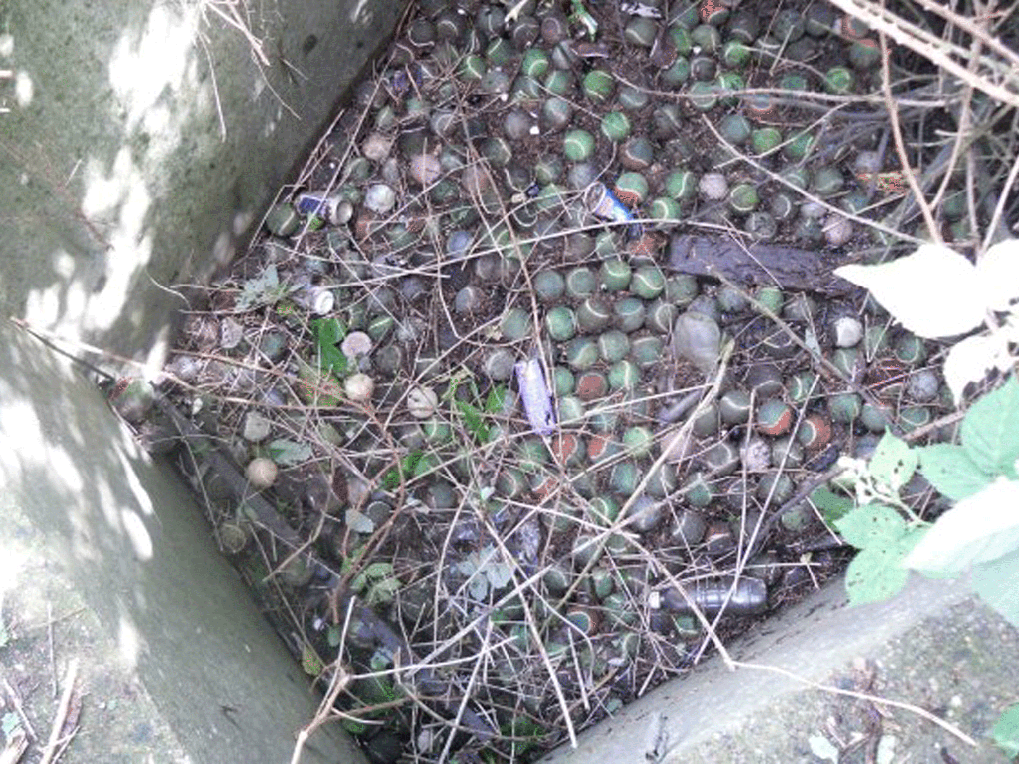 Tennis balls found in a Severn Trent Water sewer in Leicestershire