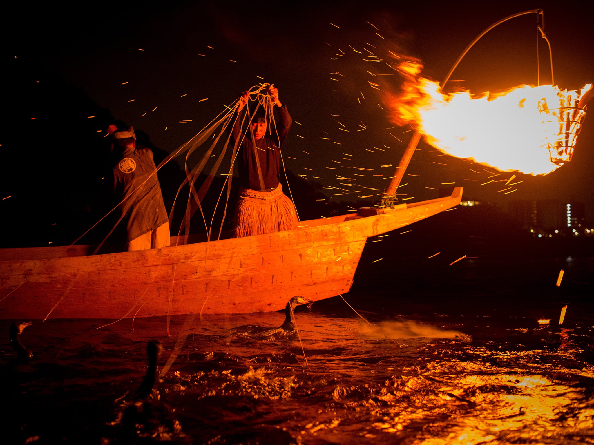 Cormorant master, Mr. Masahiko Sugiyama uses sea cormorants to catch sweetfish in Gifu